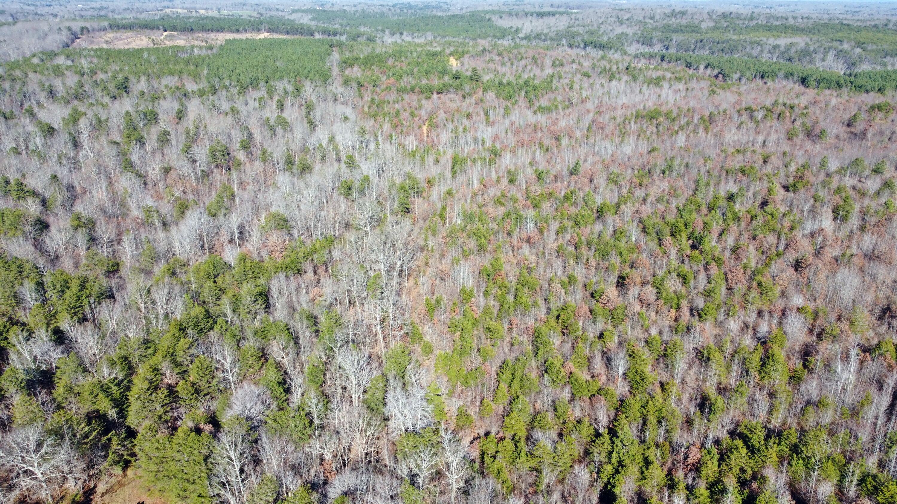 0 Co Road Bryant, AL 35958 - Photo 24 of 30 DJI_0925