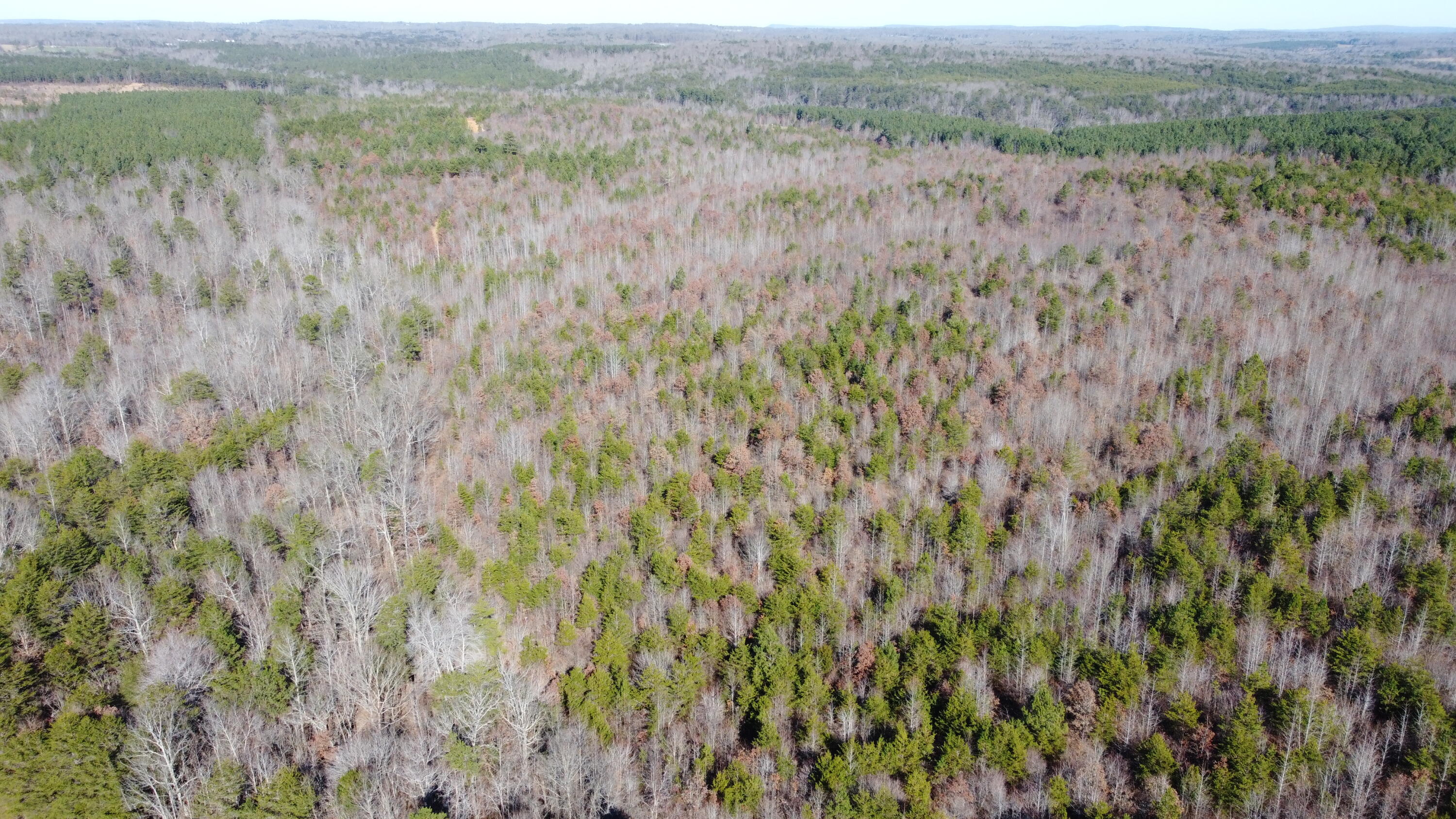 0 Co Road Bryant, AL 35958 - Photo 25 of 30 DJI_0926