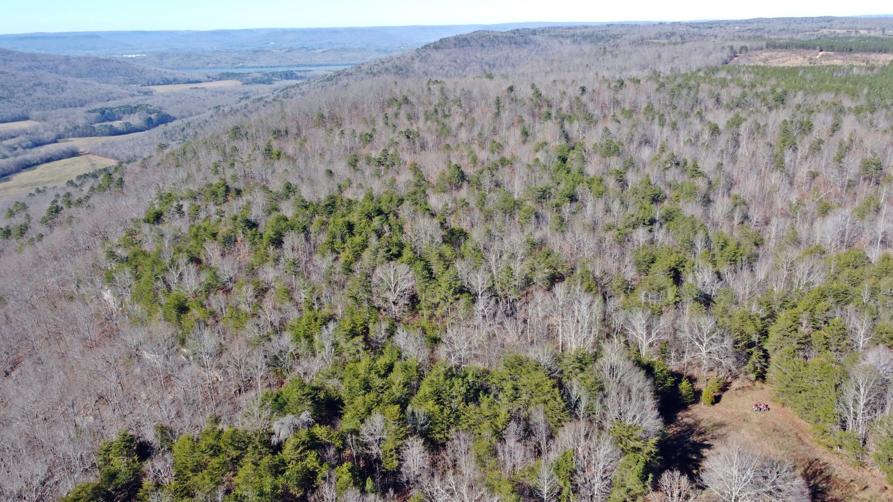0 Co Road Bryant, AL 35958 - Photo 26 of 30 DJI_0927
