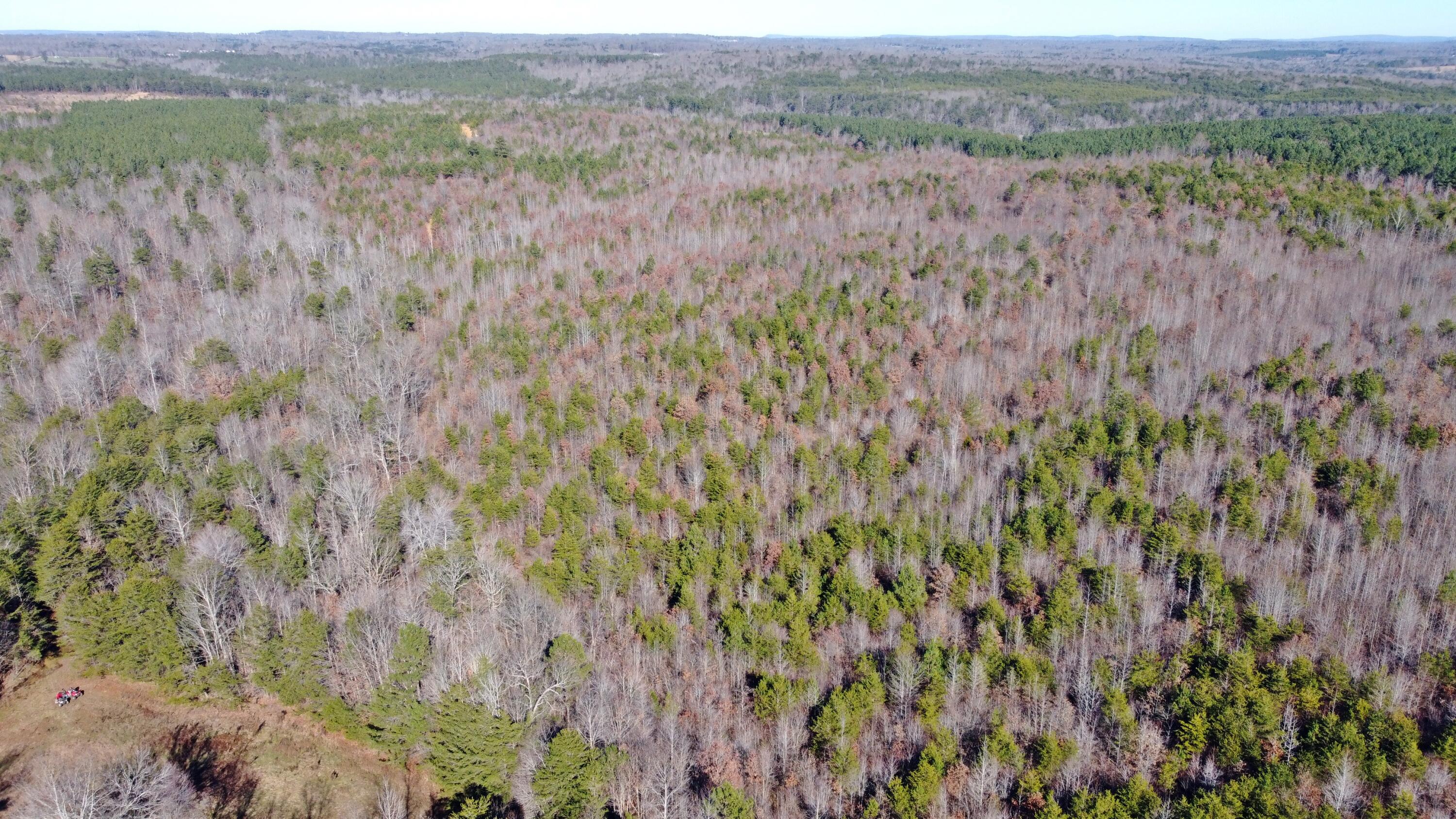 0 Co Road Bryant, AL 35958 - Photo 27 of 30 DJI_0928