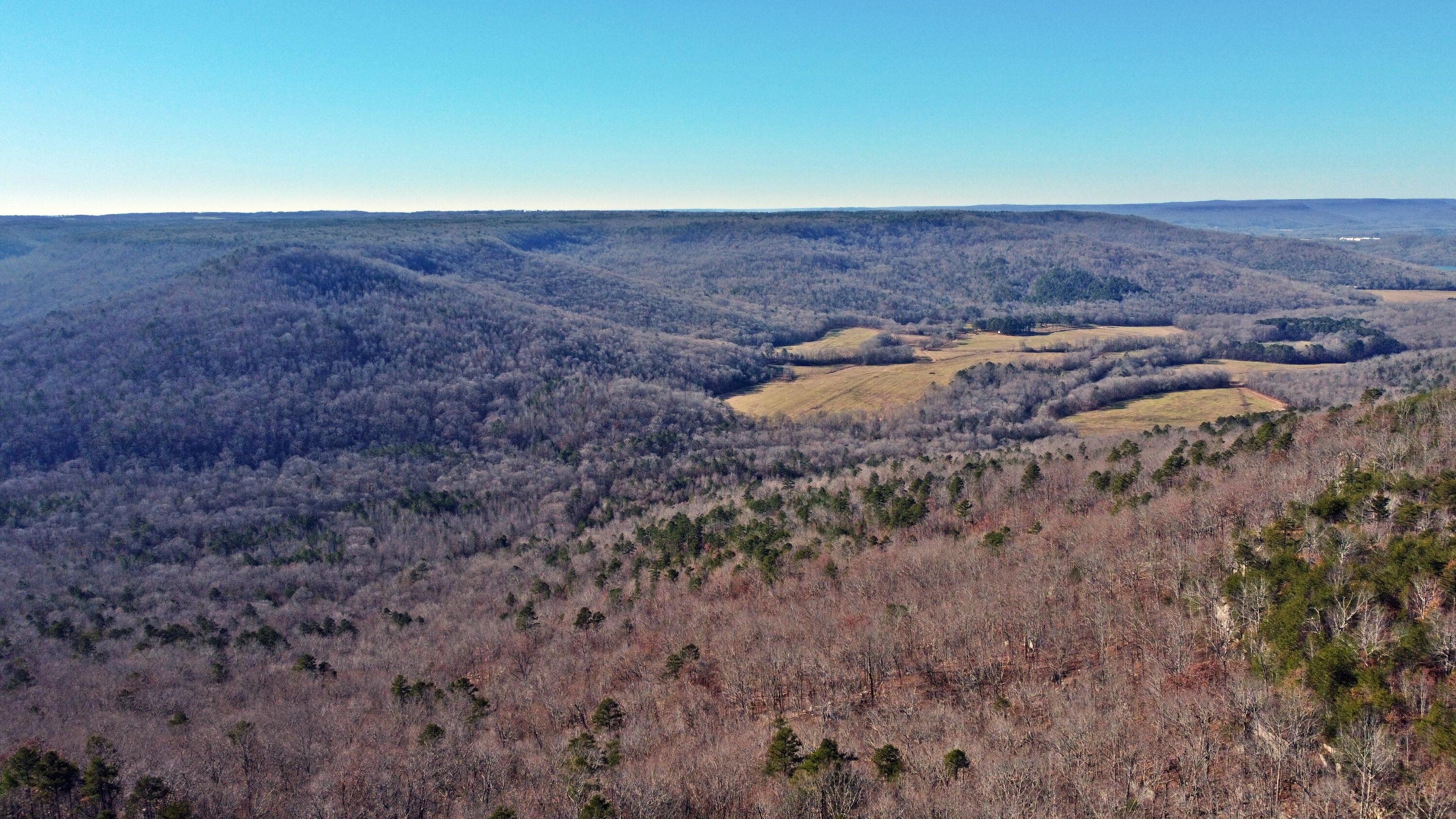 0 Co Road Bryant, AL 35958 - Photo 28 of 30 DJI_0929