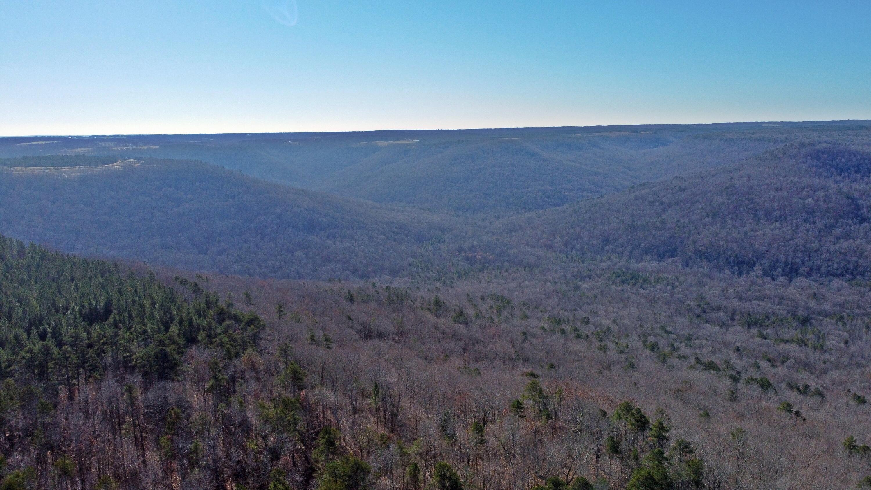 0 Co Road Bryant, AL 35958 - Photo 29 of 30 DJI_0930