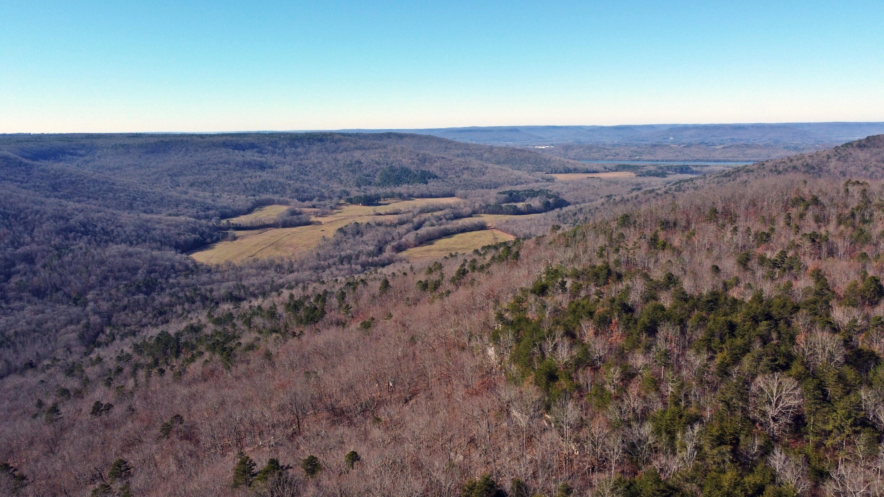 0 Co Road Bryant, AL 35958 - Photo 30 of 30 DJI_0931