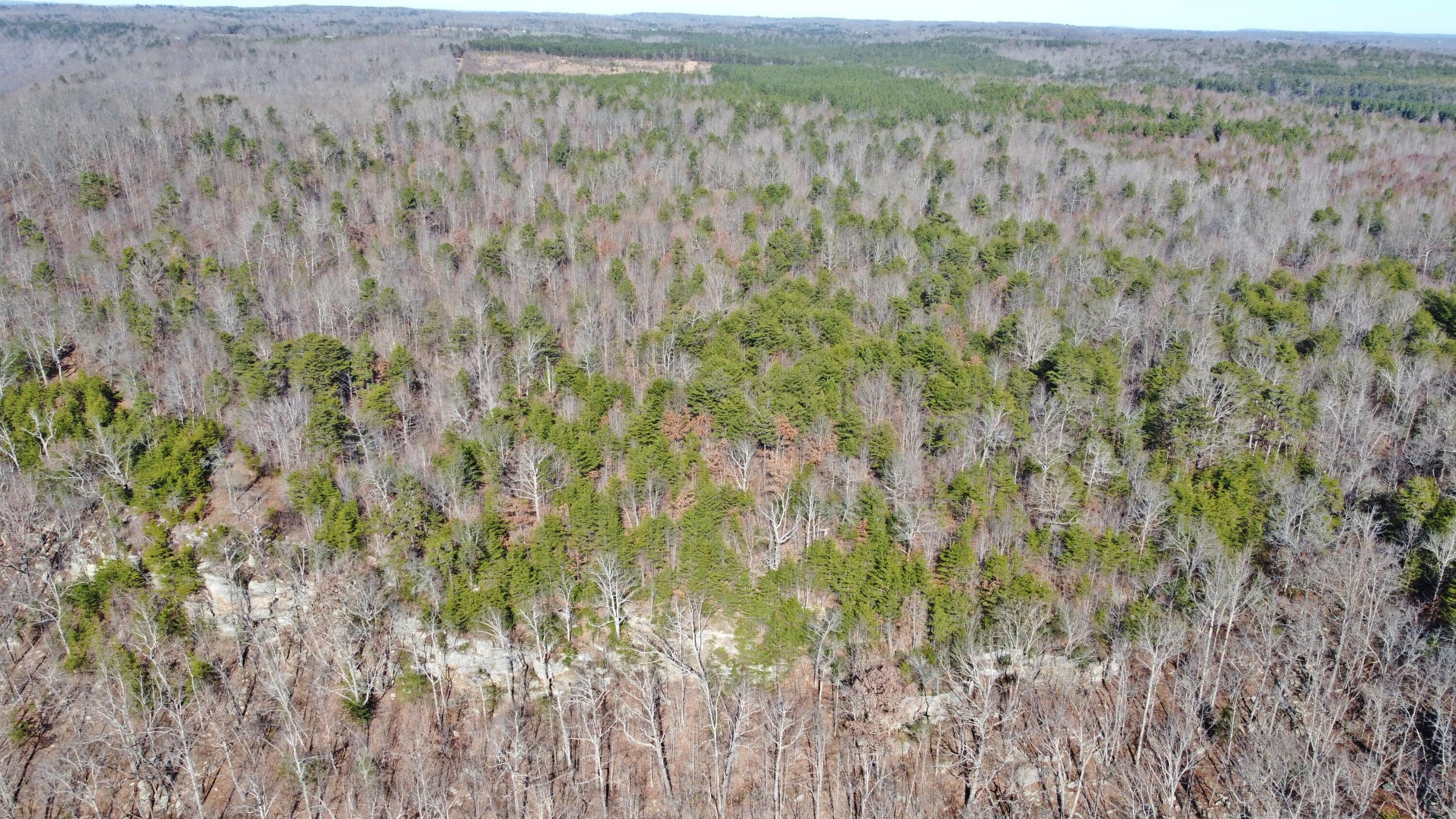 0 Co Road Bryant, AL 35958 - Photo 4 of 30 DJI_0902