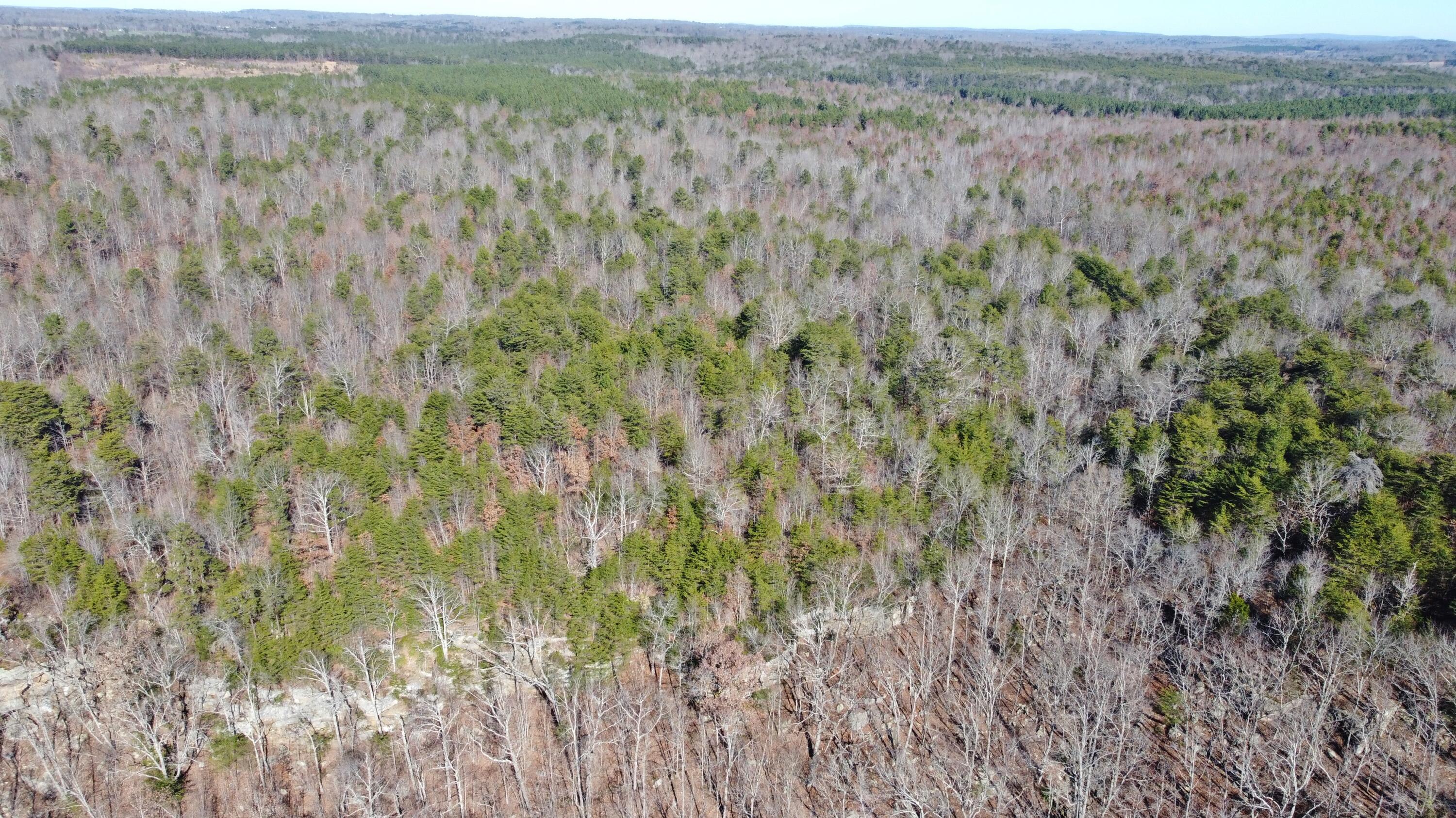 0 Co Road Bryant, AL 35958 - Photo 5 of 30 DJI_0903