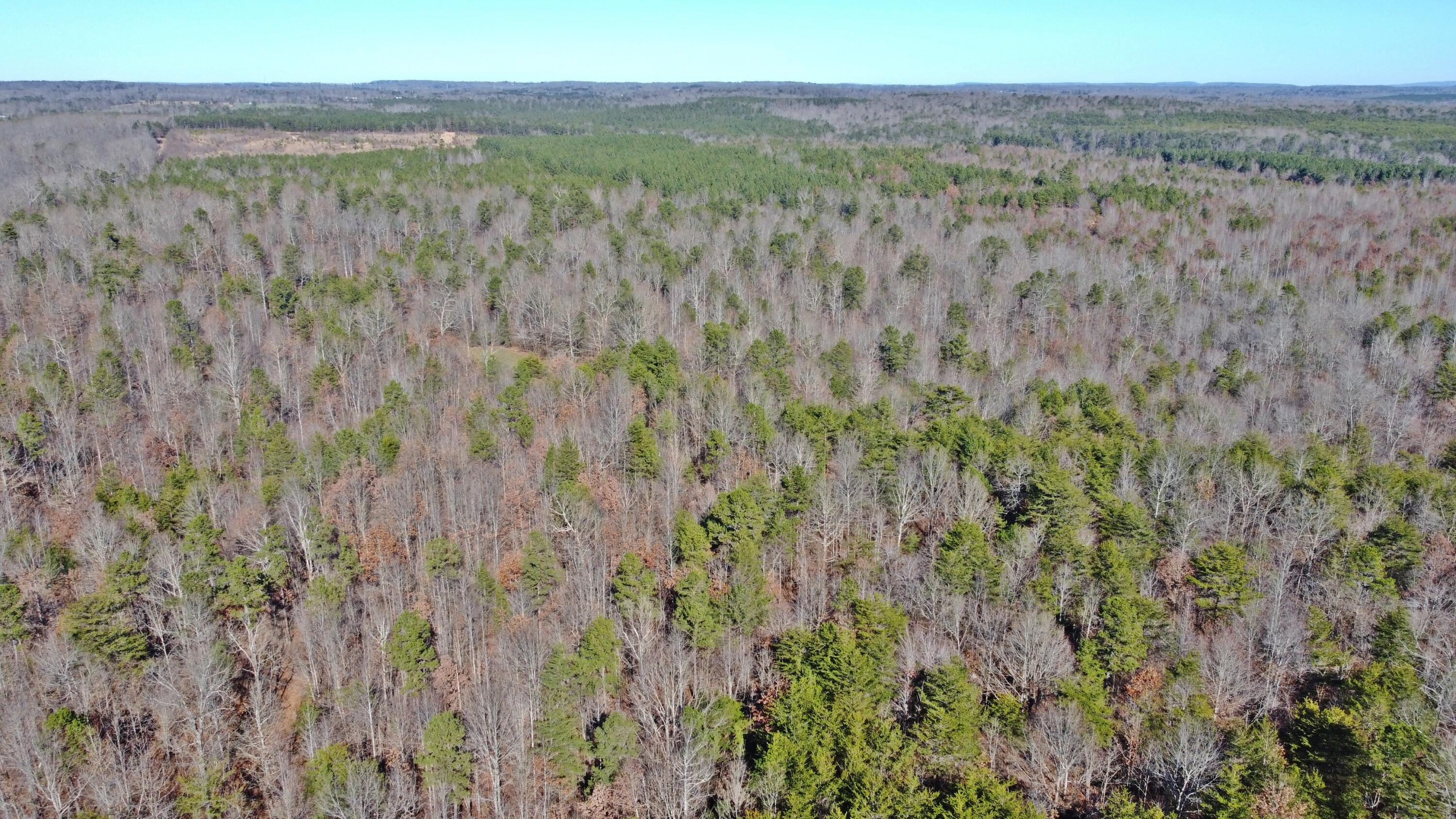 0 Co Road Bryant, AL 35958 - Photo 7 of 30 DJI_0905