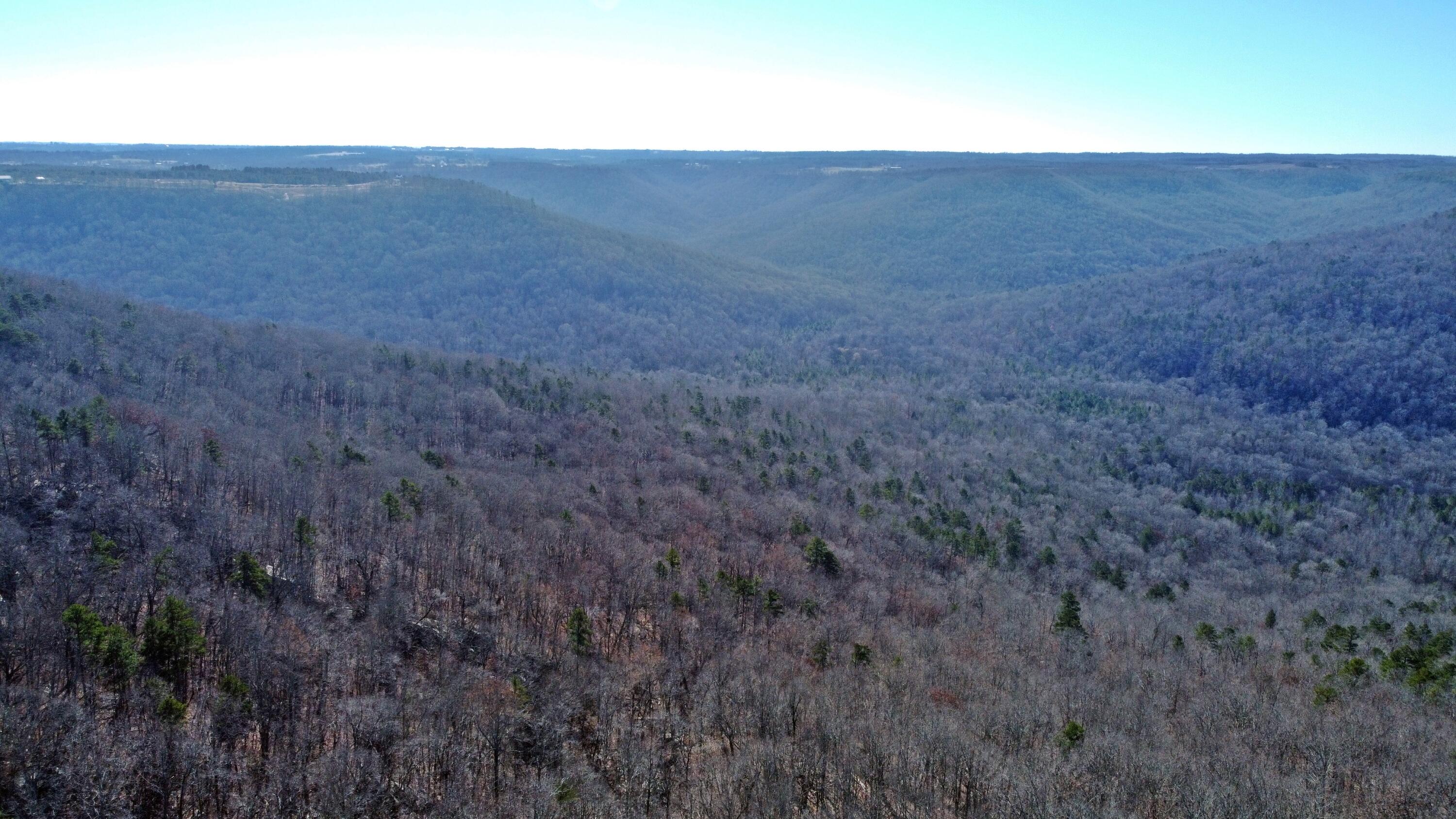 0 Co Road Bryant, AL 35958 - Photo 8 of 30 DJI_0907