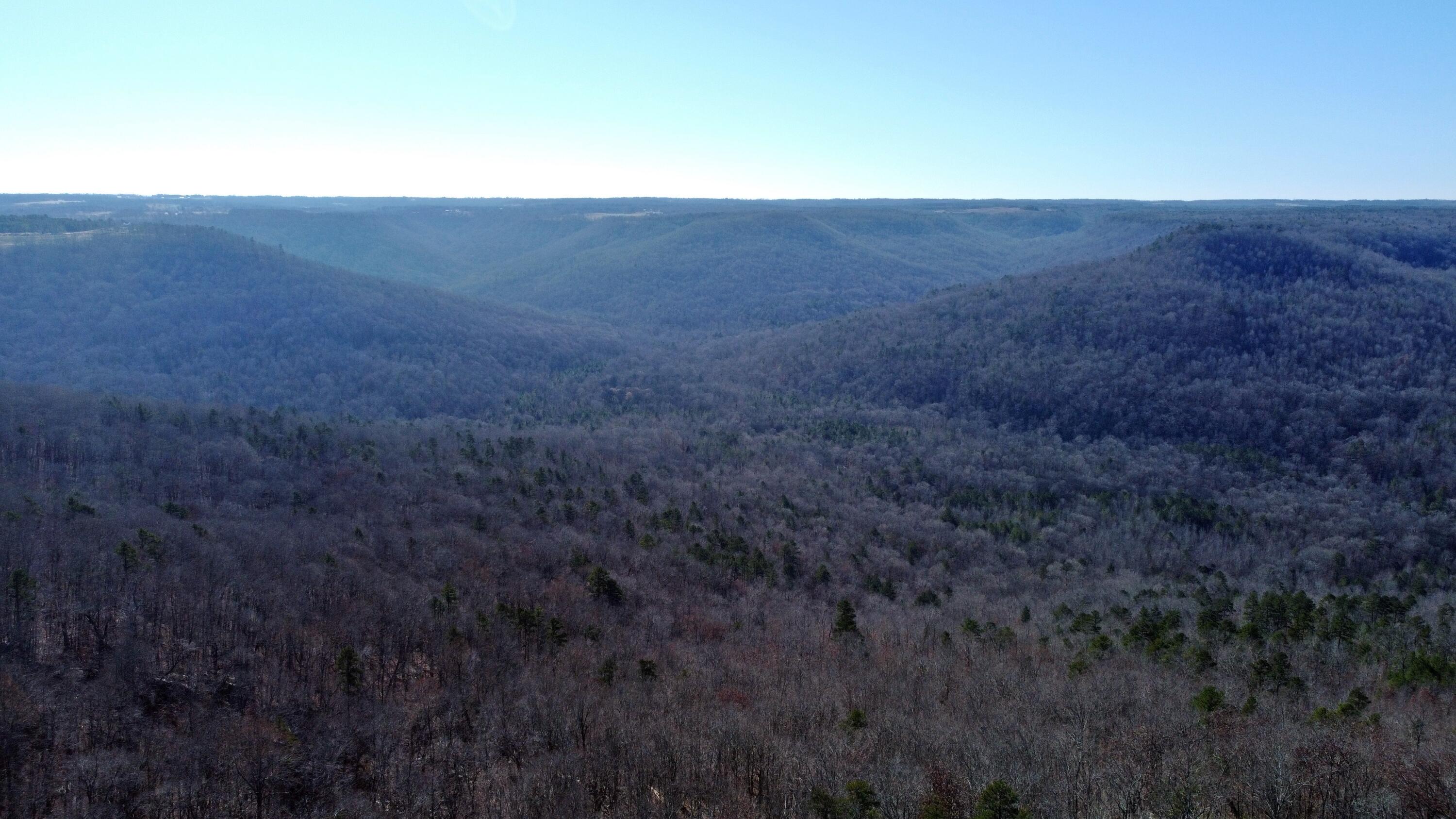 0 Co Road Bryant, AL 35958 - Photo 9 of 30 DJI_0909