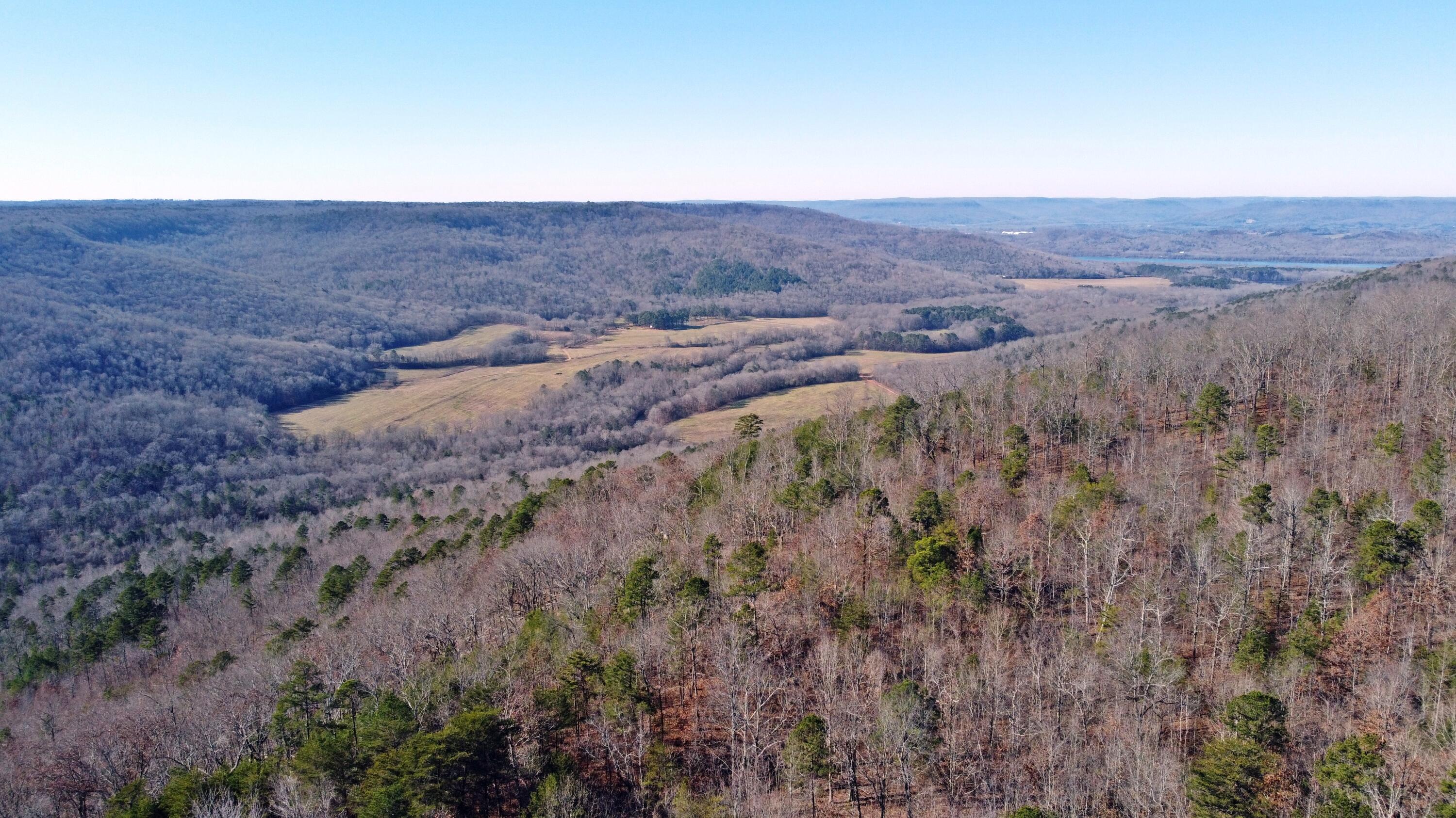 0 Co Road Bryant, AL 35958 - Photo 10 of 30 DJI_0911