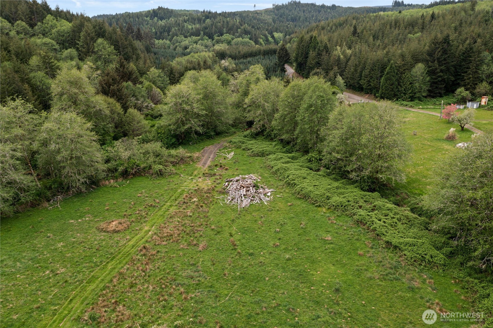X Elk Creek Road Raymond, WA 98577 - Photo 1 of 13 a big yard with green space