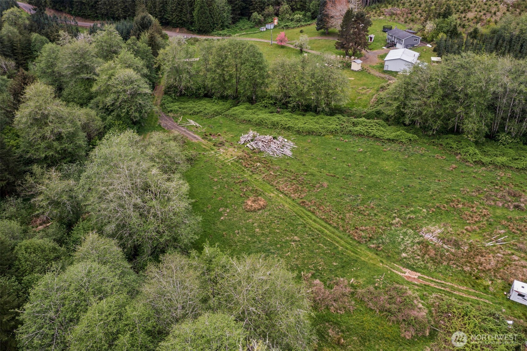 X Elk Creek Road Raymond, WA 98577 - Photo 12 of 13 a view of a big yard with plants and large trees