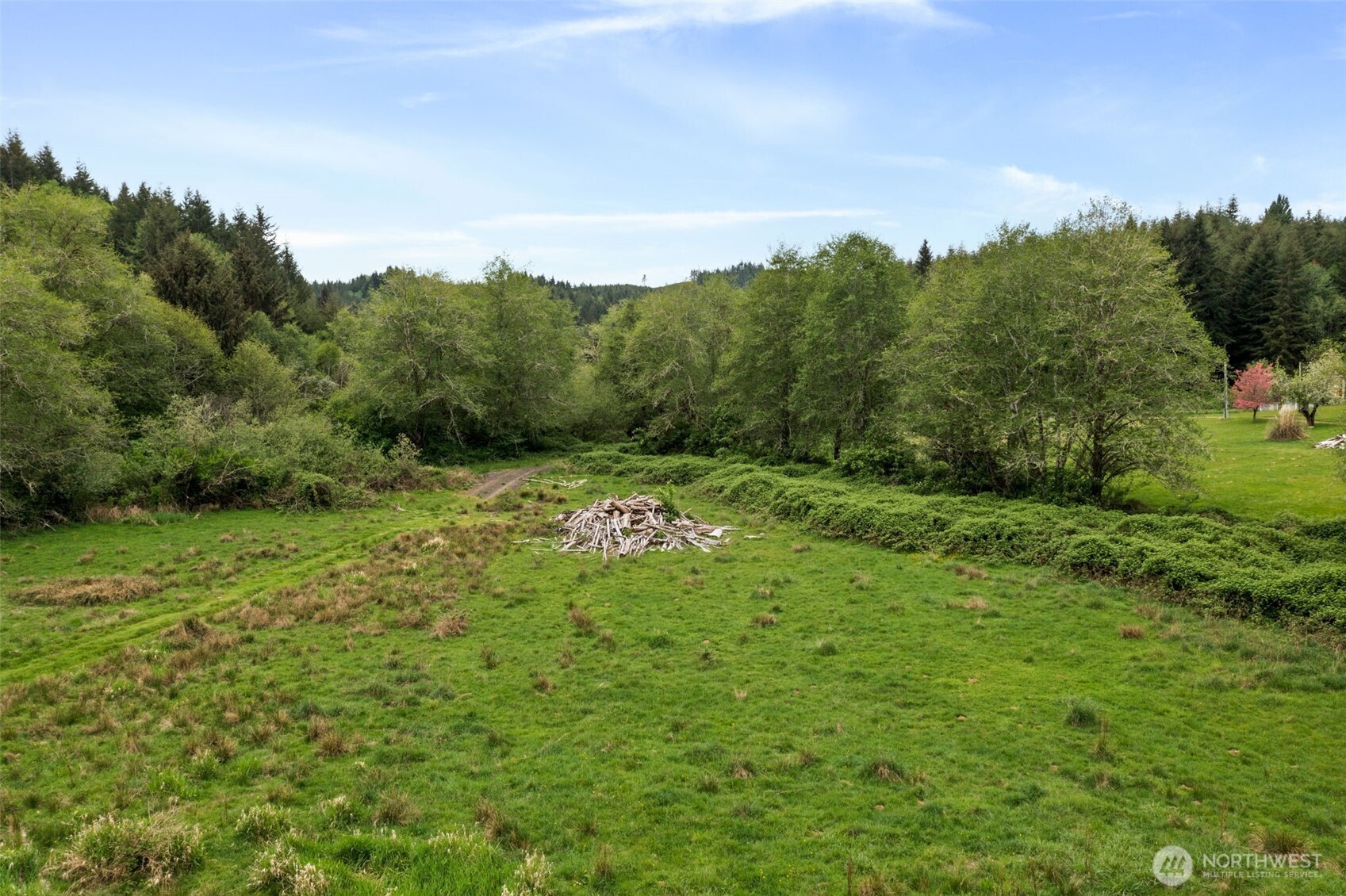 X Elk Creek Road Raymond, WA 98577 - Photo 2 of 13 a big yard with lots of green space