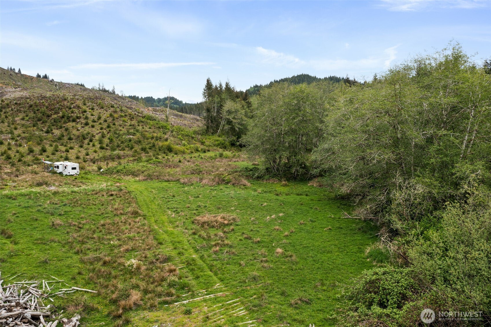 X Elk Creek Road Raymond, WA 98577 - Photo 3 of 13 a view of a lush green forest with trees in the background