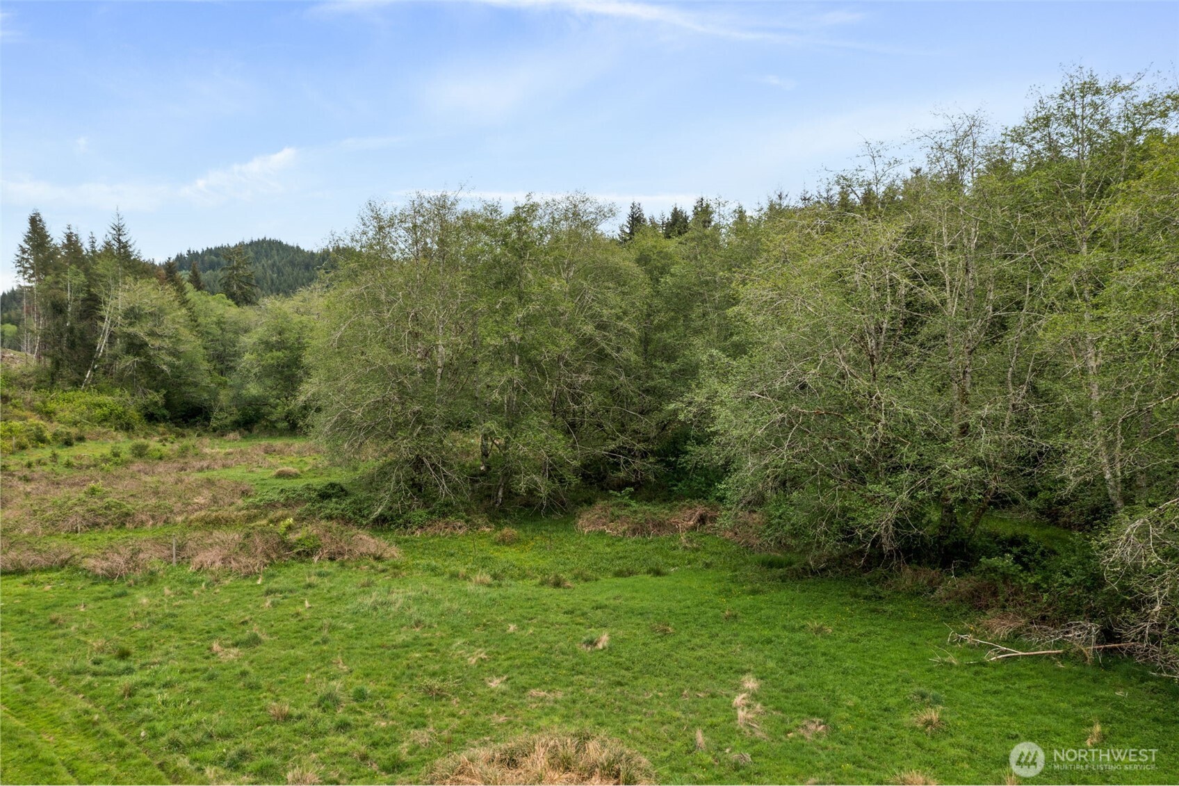 X Elk Creek Road Raymond, WA 98577 - Photo 4 of 13 a view of a city with lush green forest