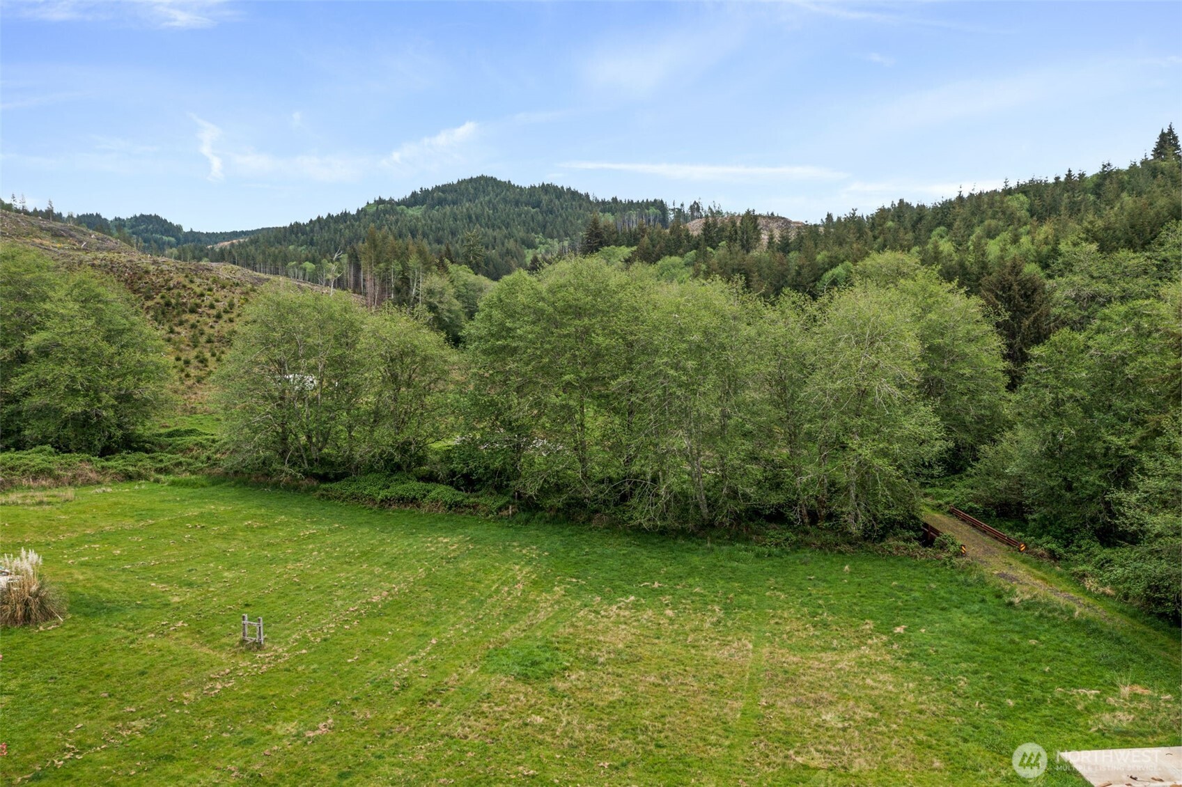 X Elk Creek Road Raymond, WA 98577 - Photo 5 of 13 a view of a lush green hillside and a mountain view