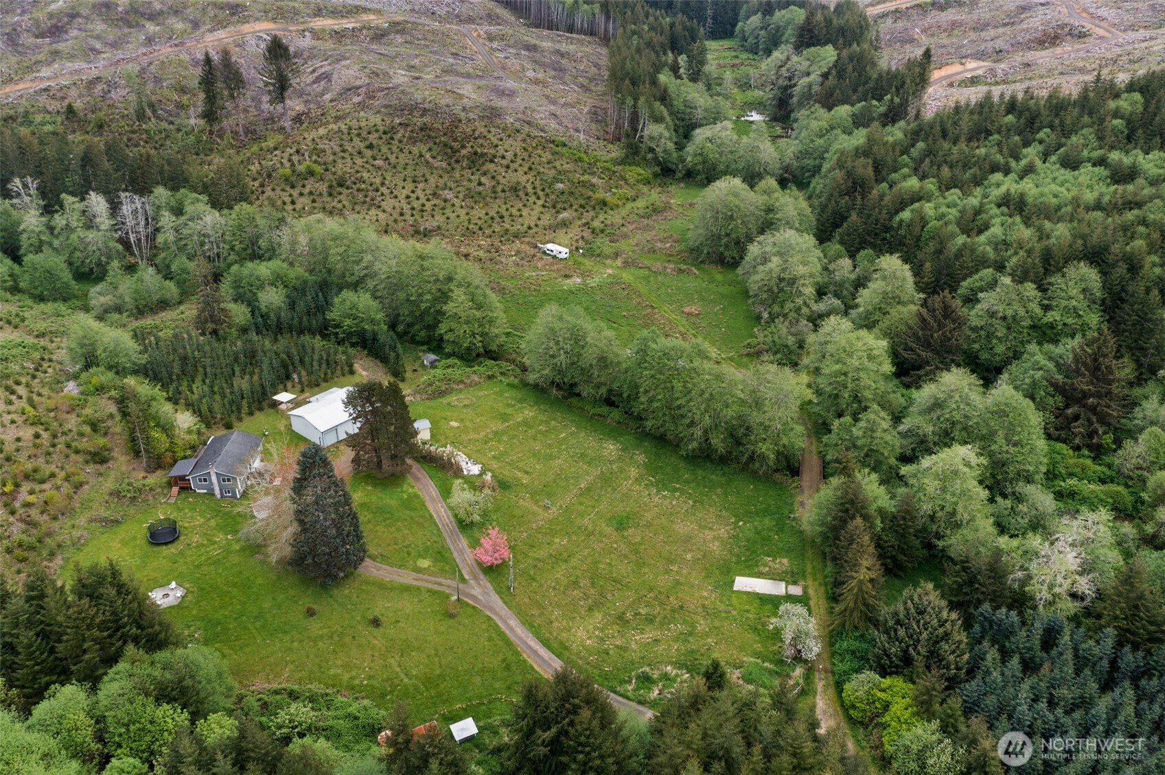 X Elk Creek Road Raymond, WA 98577 - Photo 8 of 13 a view of a garden