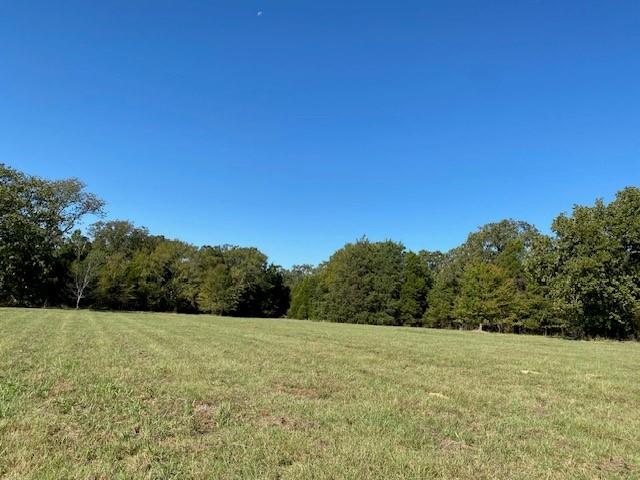 11133 Highway 19 Athens, TX 75752 - Photo 22 of 30