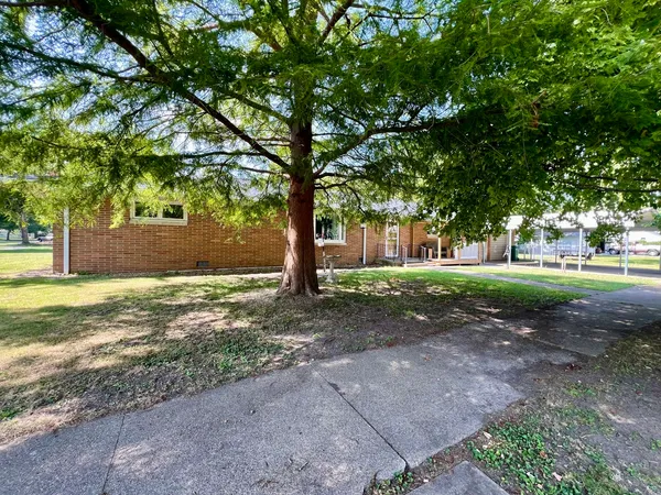 a view of a yard with tree s