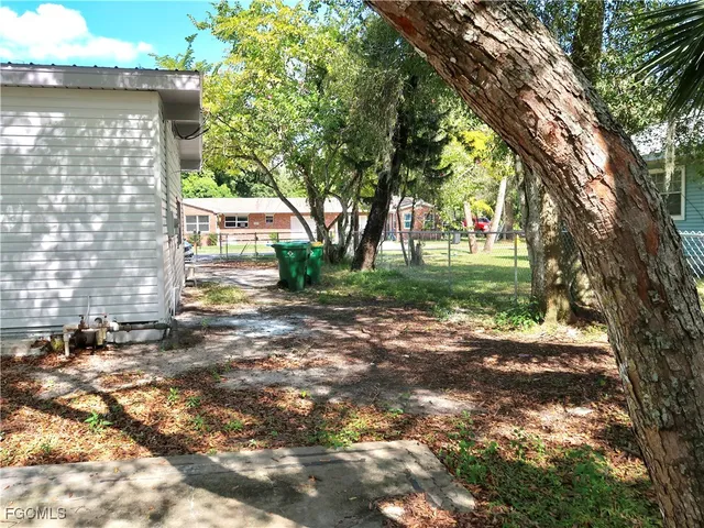 a view of a yard with plants and a large tree