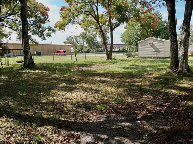 a view of a park with large trees