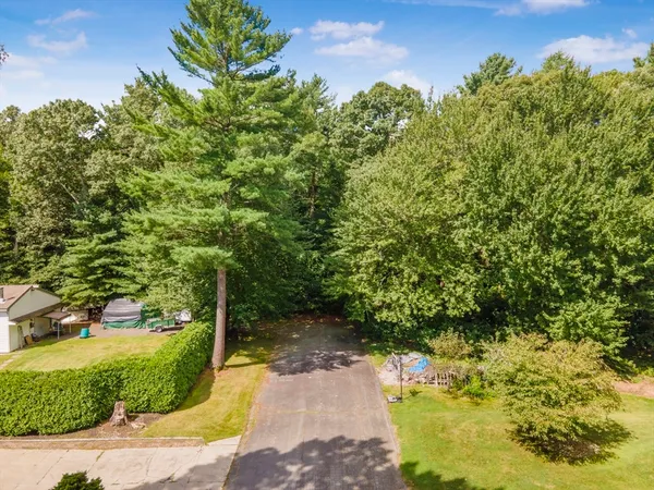 a view of a yard