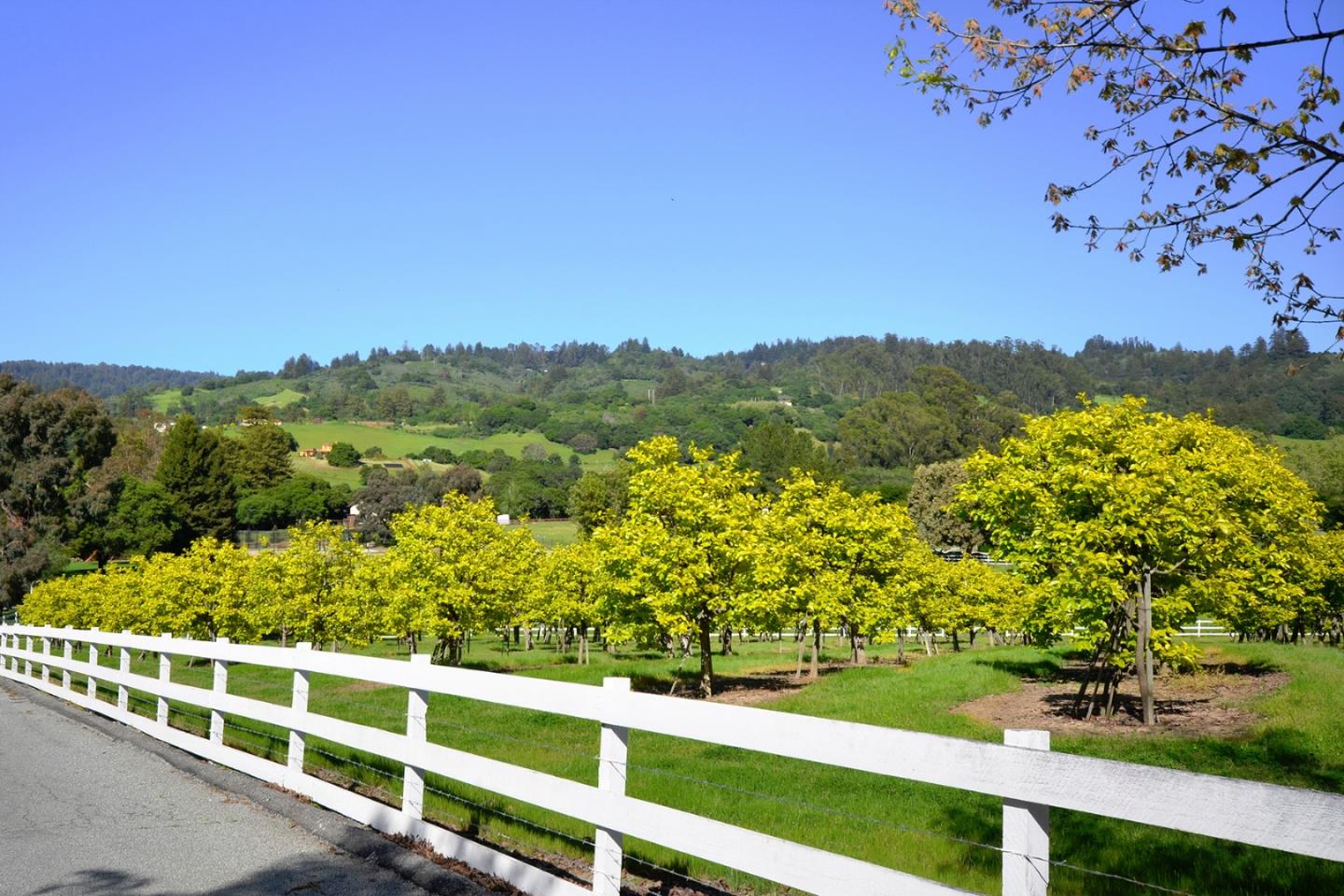 120 Edenvale Road Watsonville, CA 95076 - Photo 30 of 41 a view of a yard