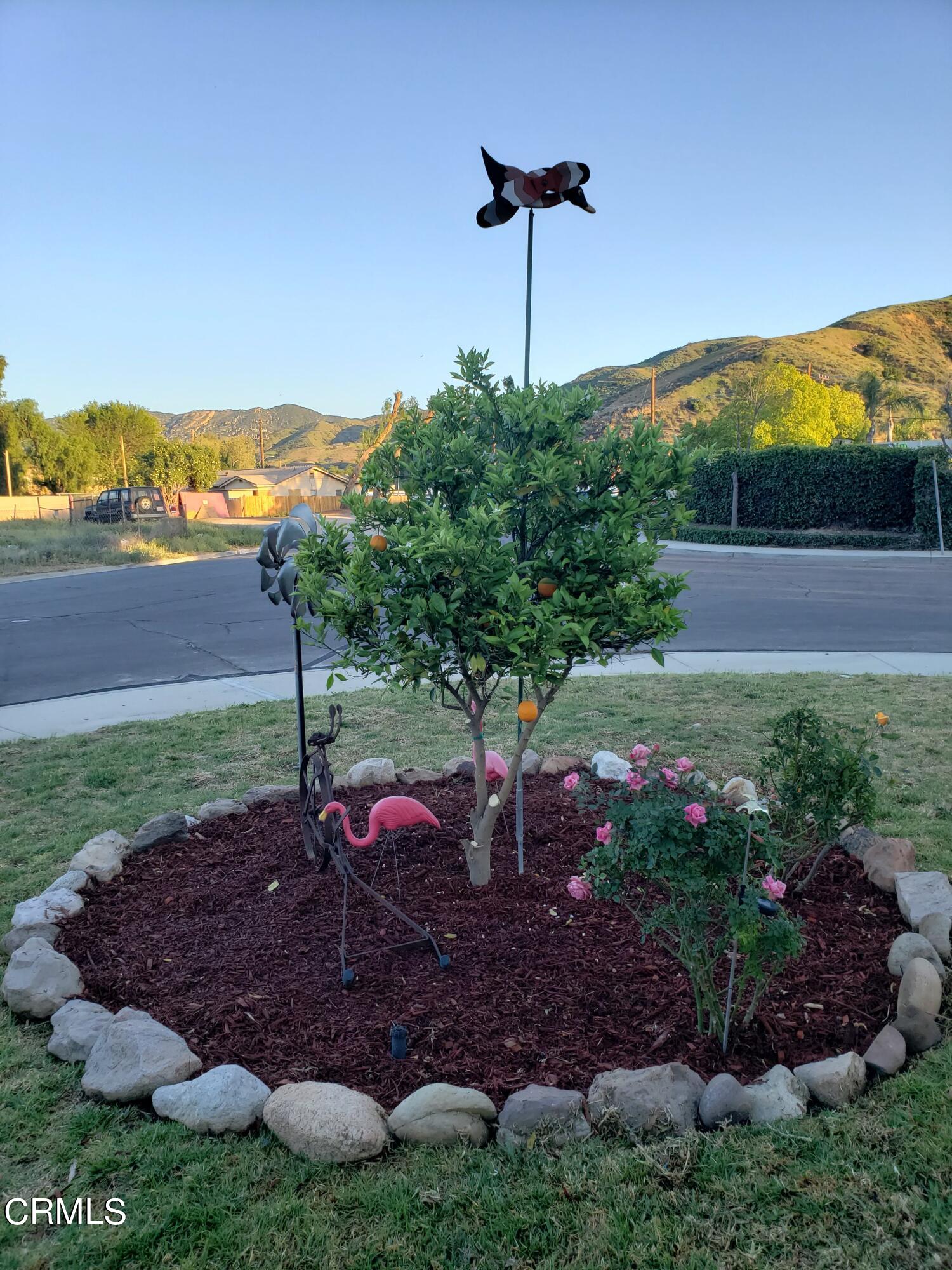2059 Ralston Street Simi Valley, CA 93063 - Photo 7 of 34 a view of a garden with an ocean