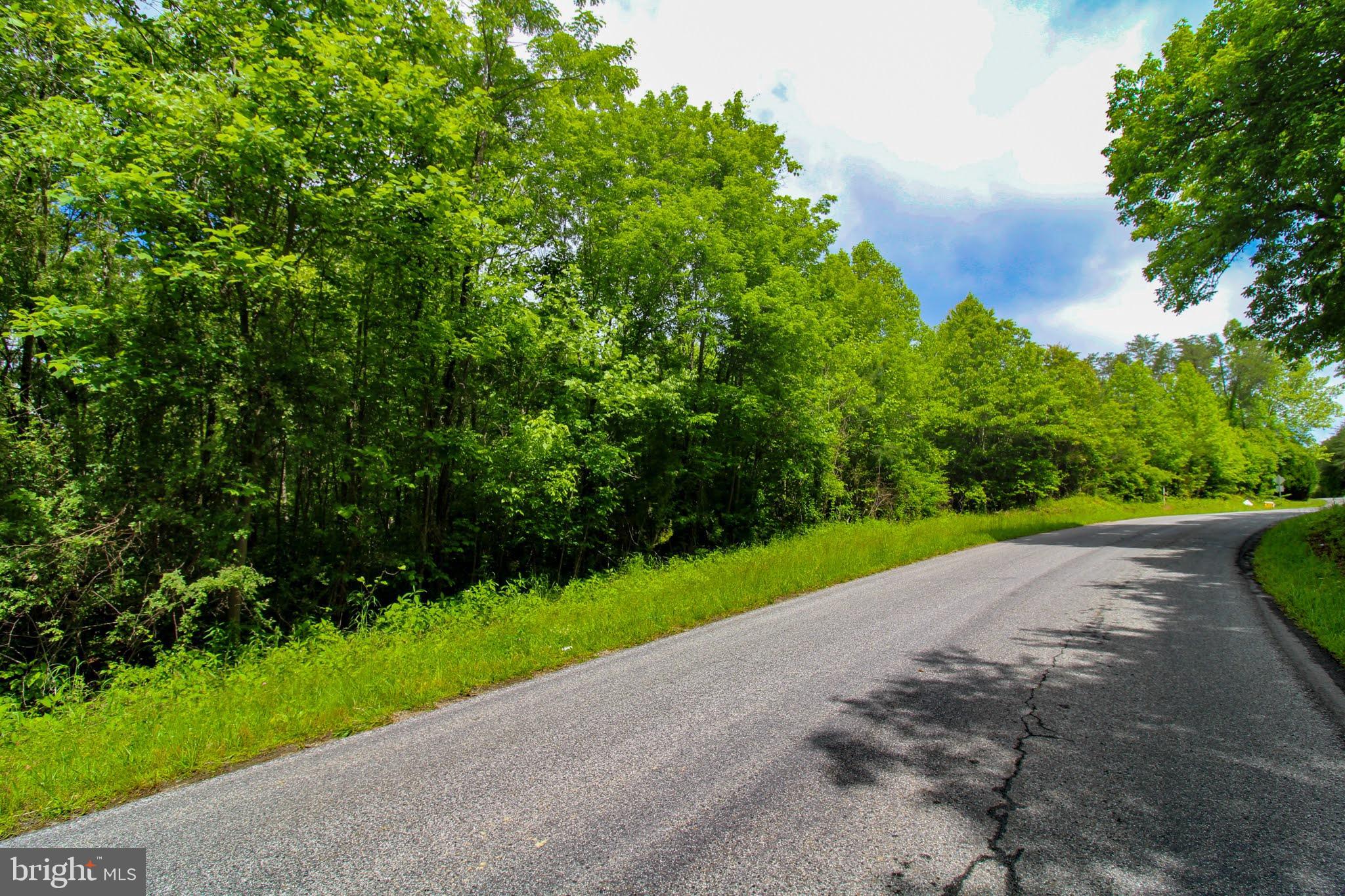 Tbd Cross Stitch Road, Unit 2E Dry Fork, VA 24549 - Photo 3 of 12