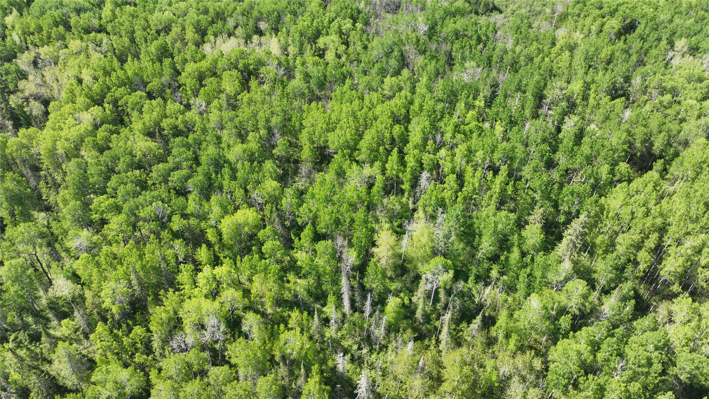 1640 County Road West Superior, WI 54880 - Photo 19 of 49
