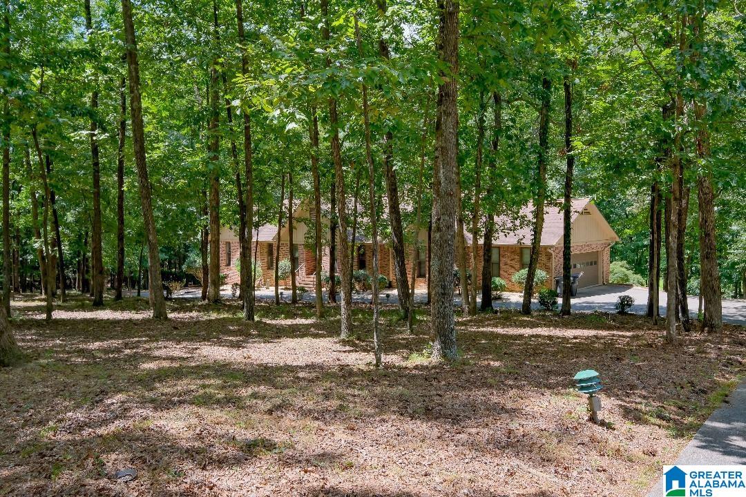 4824 Caldwell Mill Road Birmingham, AL 35242 - Photo 1 of 50