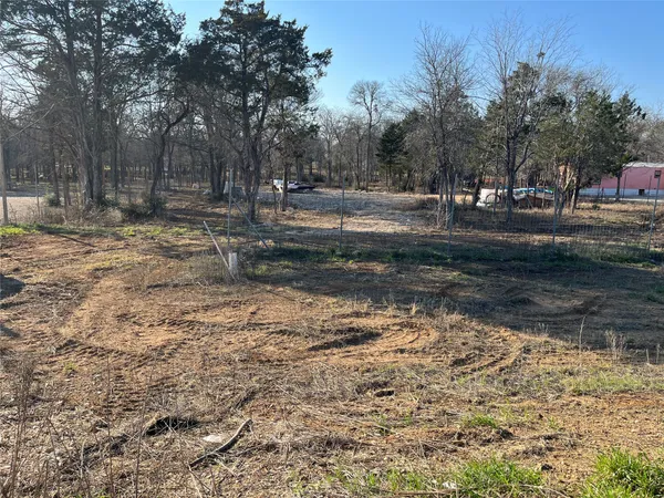 a view of dirt yard with a large tree