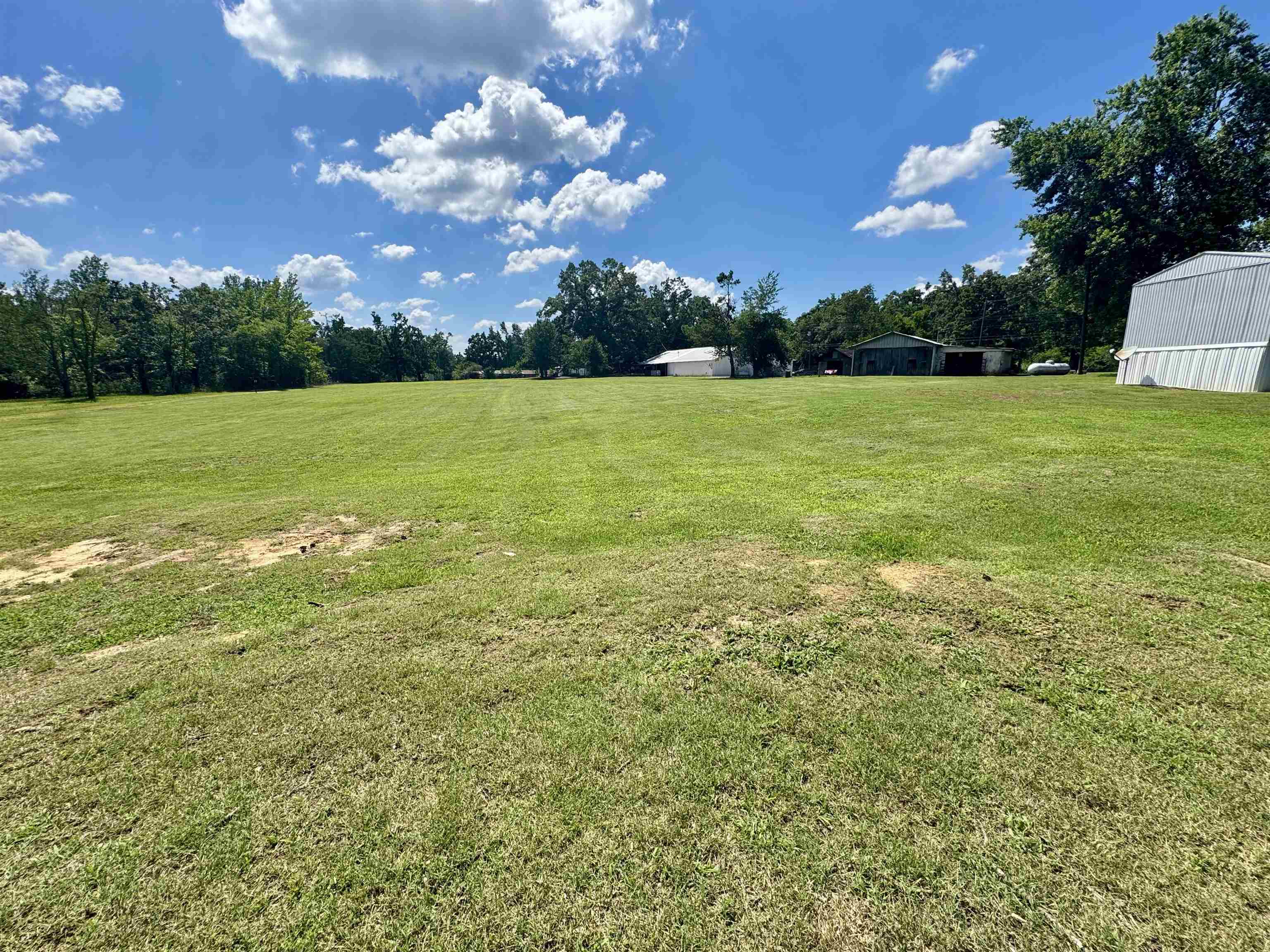 2511 Watkins Road Michie, TN 38357 - Photo 3 of 40 Expansive open field with green grass, bordered by mature trees