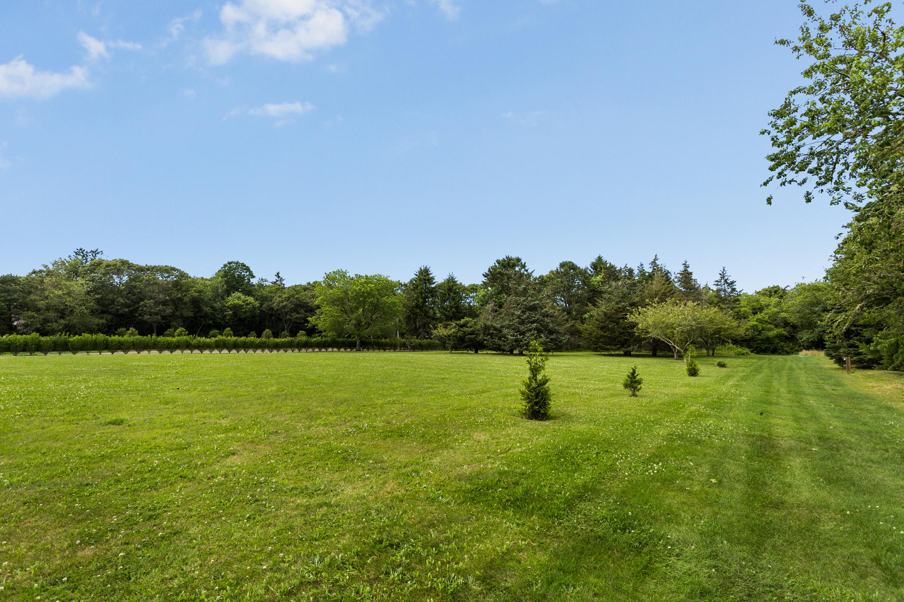 1855 South County Road Osterville, MA 02655 - Photo 3 of 26 a view of an ocean from a yard