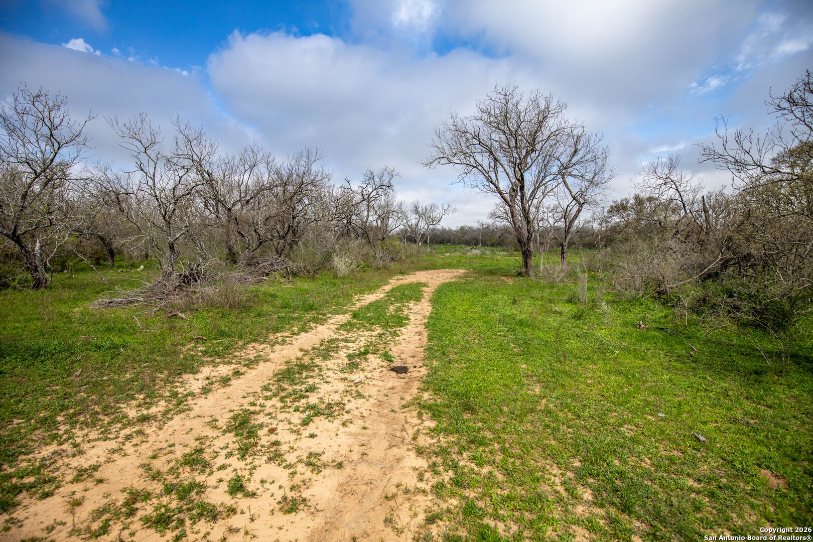 0 Felix Road St. Hedwig, TX 78152 - Photo 11 of 41 a view of a yard with an trees