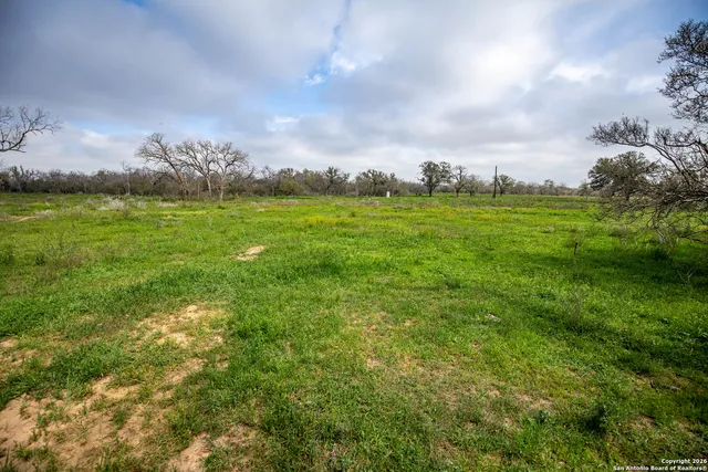 a view of a field with plants and trees in the background