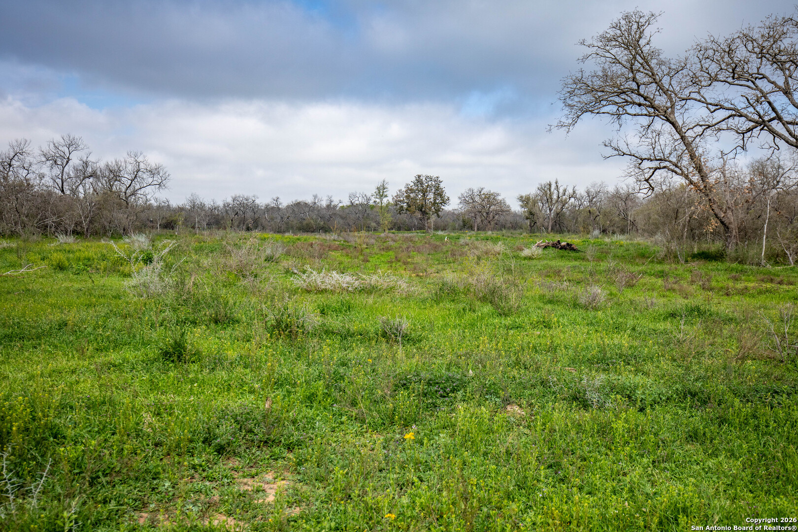 0 Felix Road St. Hedwig, TX 78152 - Photo 14 of 41 a view of a big yard with large trees