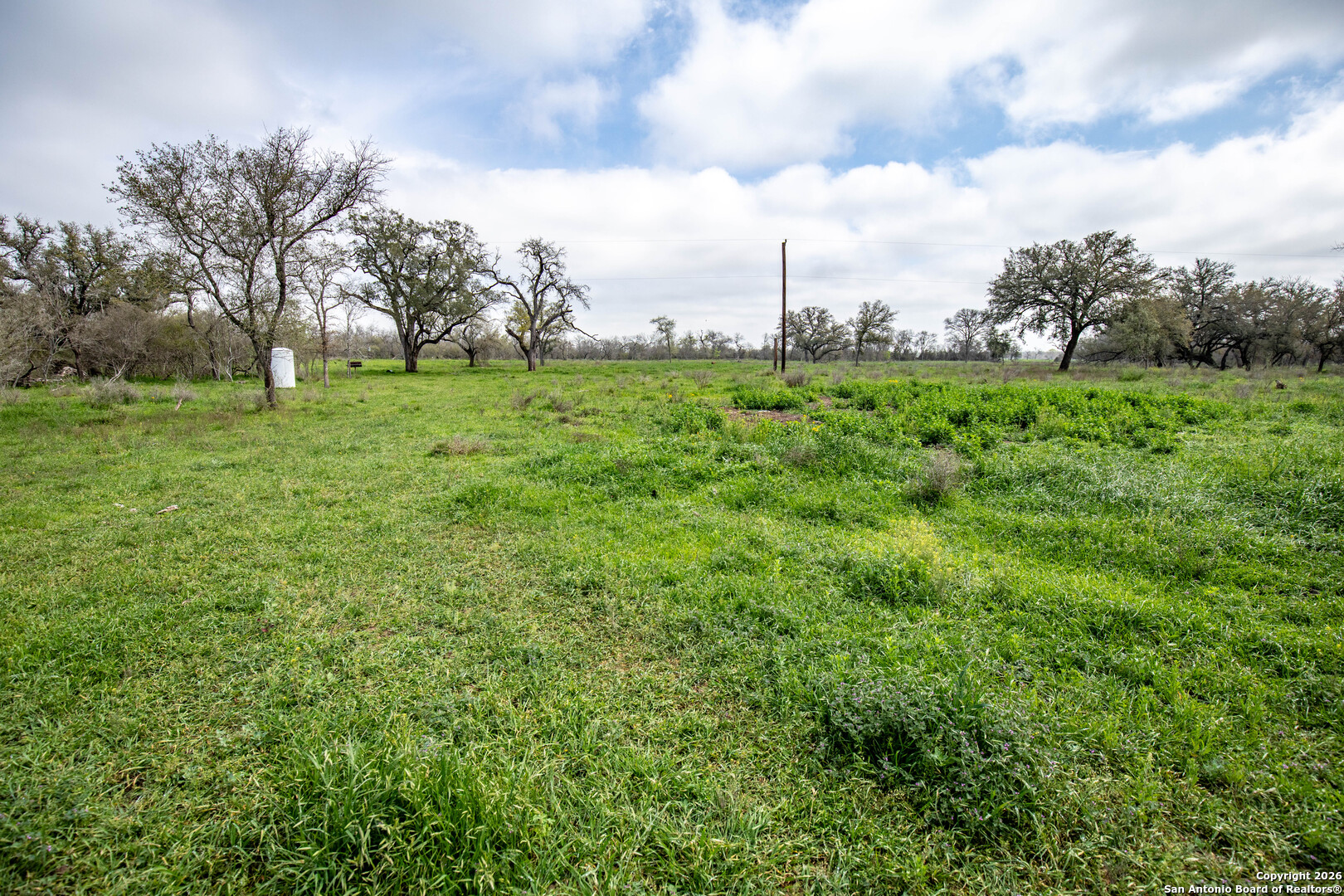 0 Felix Road St. Hedwig, TX 78152 - Photo 16 of 41 a view of a park with large trees