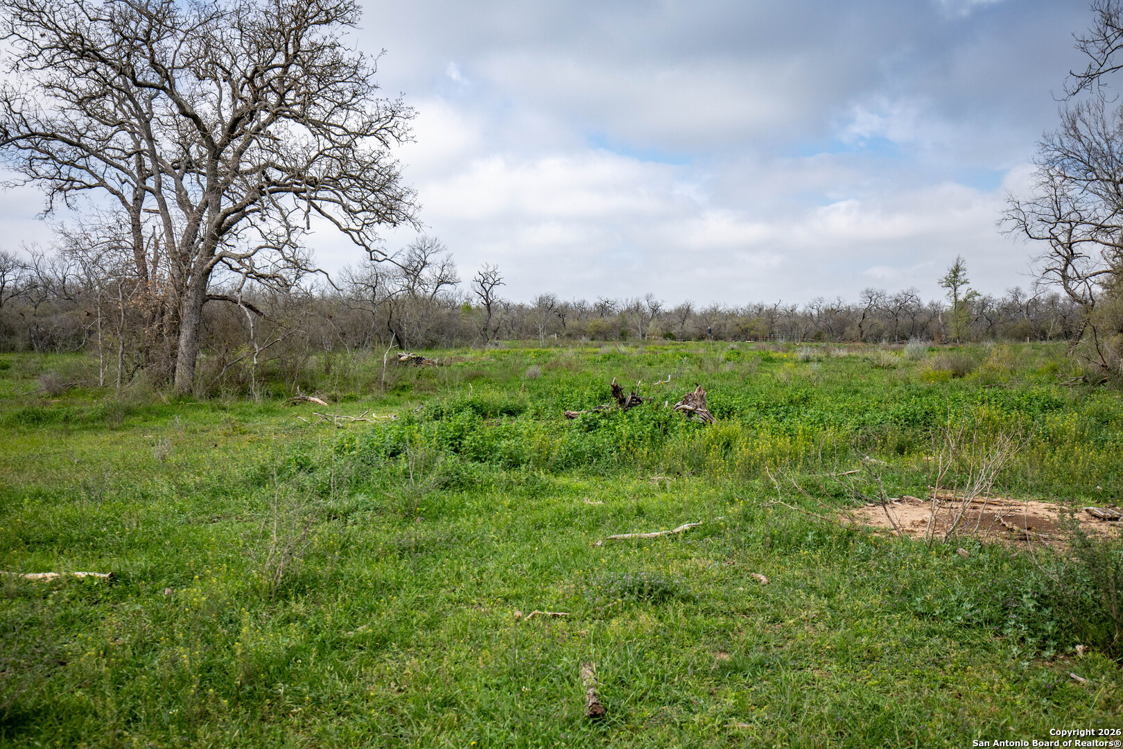 0 Felix Road St. Hedwig, TX 78152 - Photo 17 of 41 a view of a lush green space