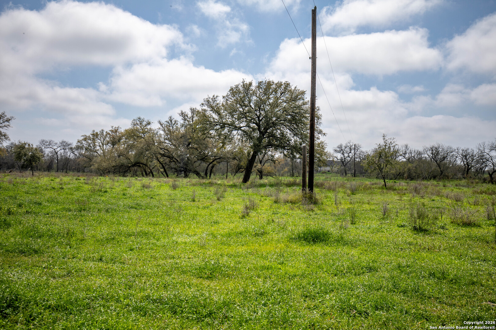 0 Felix Road St. Hedwig, TX 78152 - Photo 18 of 41 a view of a green filed
