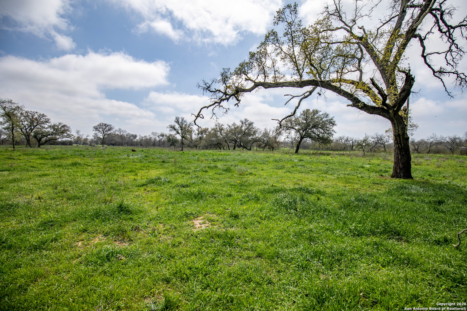 0 Felix Road St. Hedwig, TX 78152 - Photo 21 of 41 a big yard with lots of green space and plants