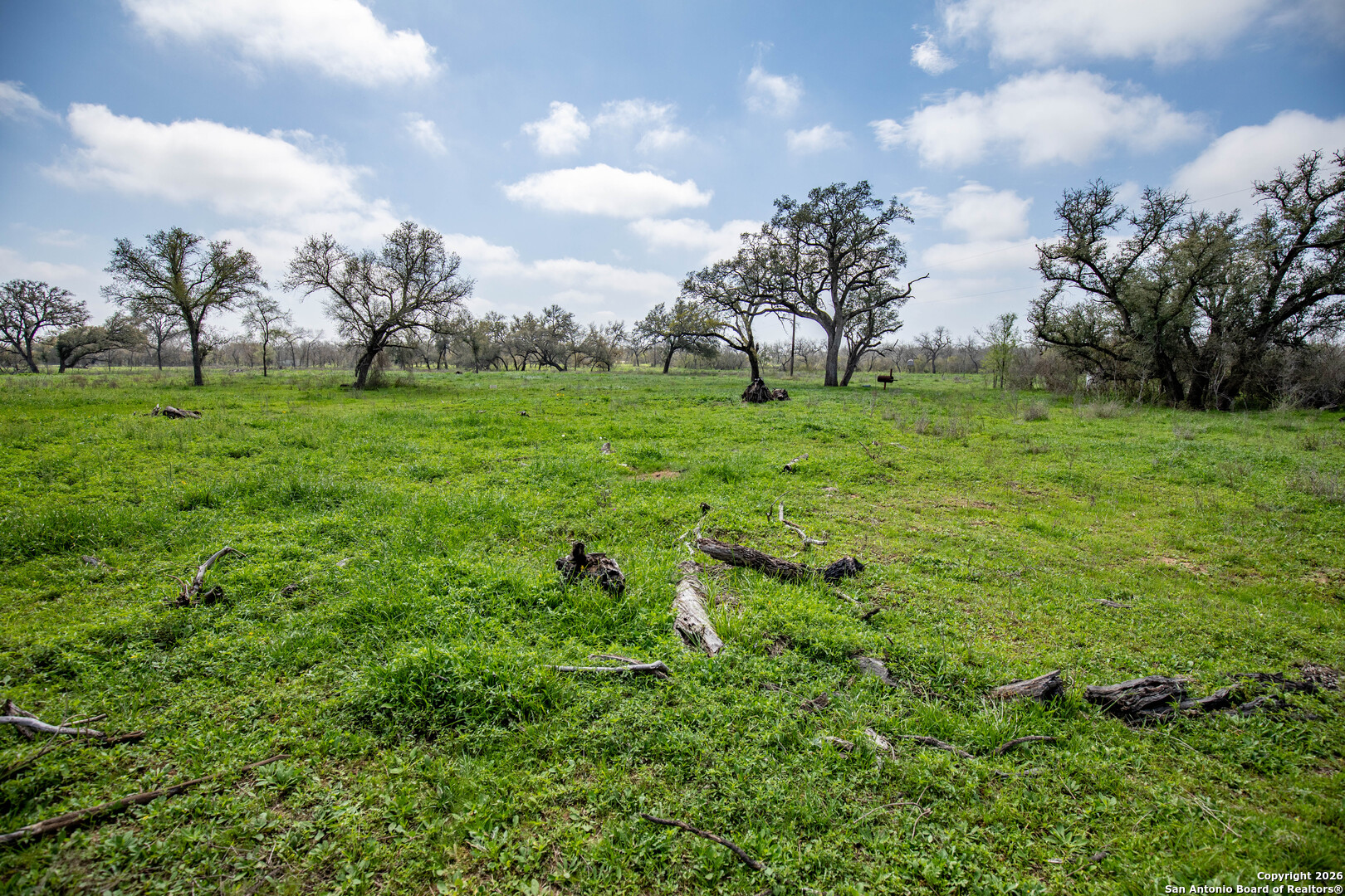 0 Felix Road St. Hedwig, TX 78152 - Photo 25 of 41 a green field with lots of trees