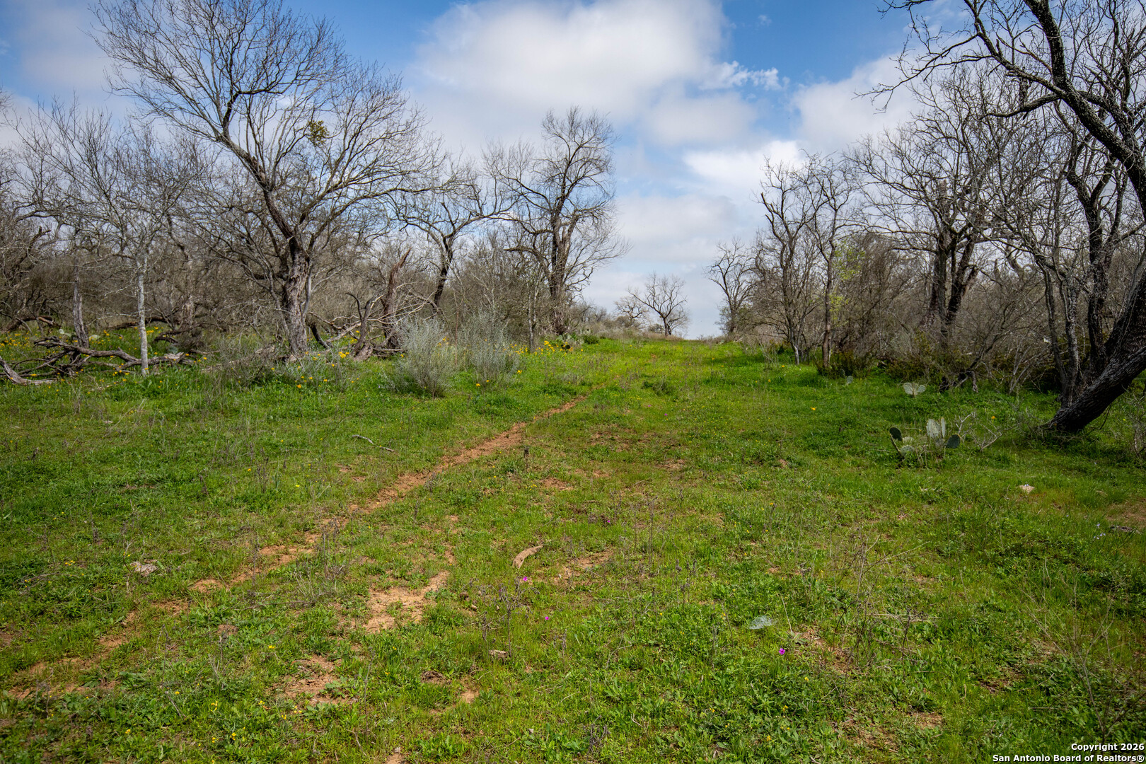 0 Felix Road St. Hedwig, TX 78152 - Photo 26 of 41 a big yard with lots of green space and trees