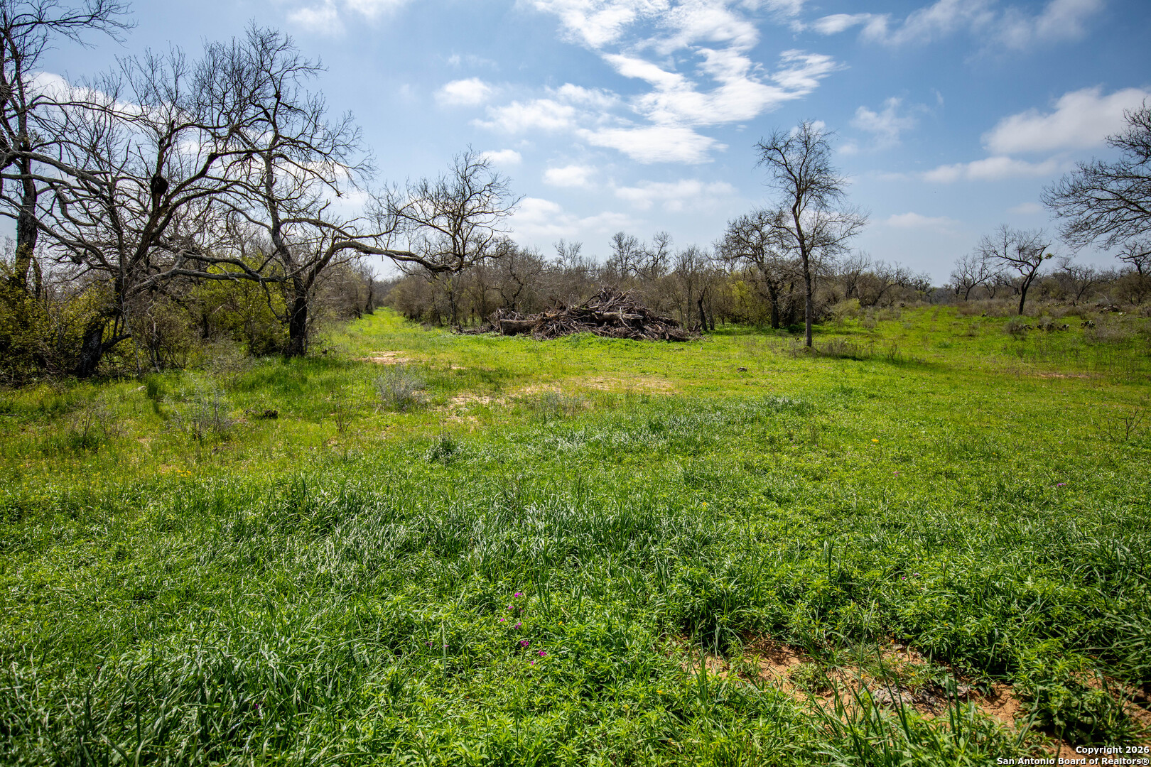 0 Felix Road St. Hedwig, TX 78152 - Photo 28 of 41 a view of outdoor space and yard