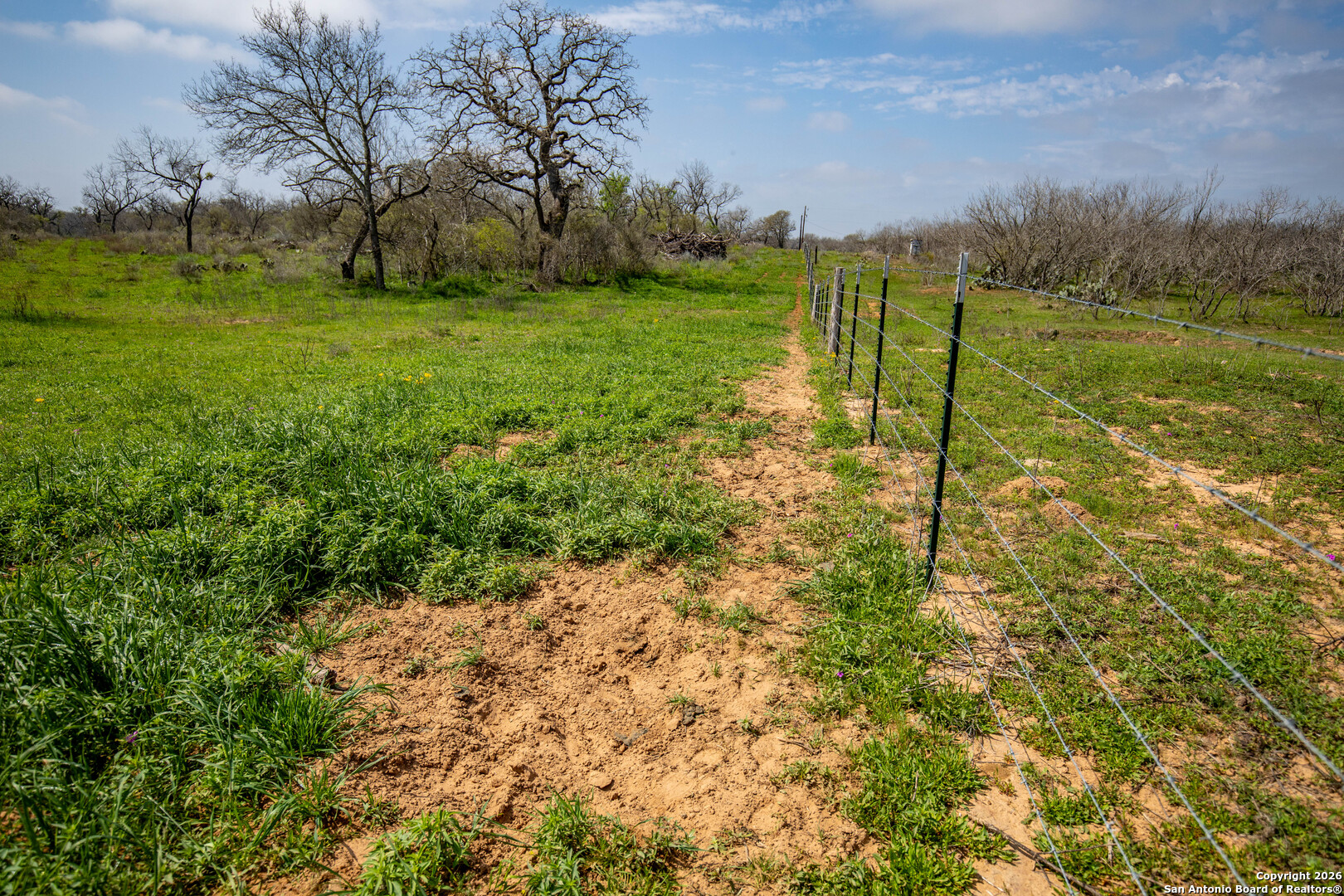 0 Felix Road St. Hedwig, TX 78152 - Photo 29 of 41 a view of a field with grass