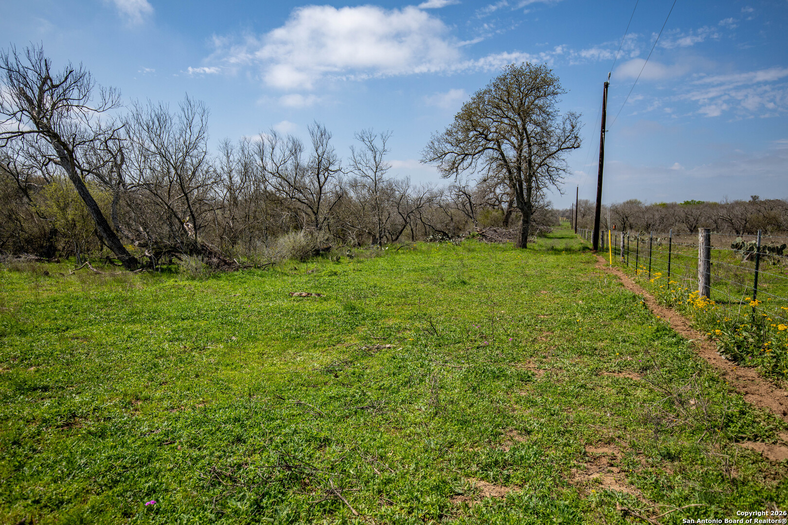 0 Felix Road St. Hedwig, TX 78152 - Photo 31 of 41 a view of a garden with an trees