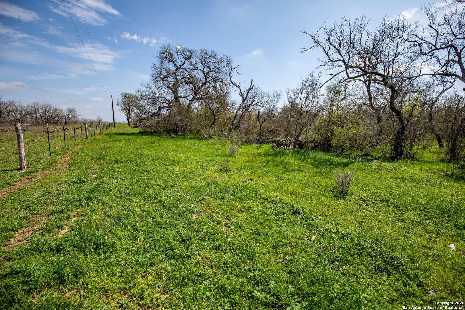 0 Felix Road St. Hedwig, TX 78152 - Photo 33 of 41 a view of a garden with an trees