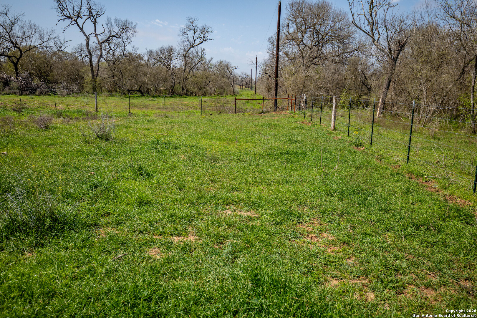 0 Felix Road St. Hedwig, TX 78152 - Photo 34 of 41 a view of field with tall trees