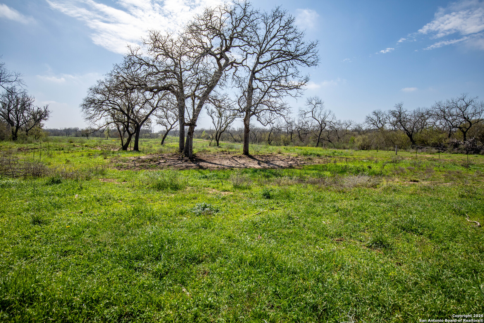 0 Felix Road St. Hedwig, TX 78152 - Photo 35 of 41 a view of a field with large trees