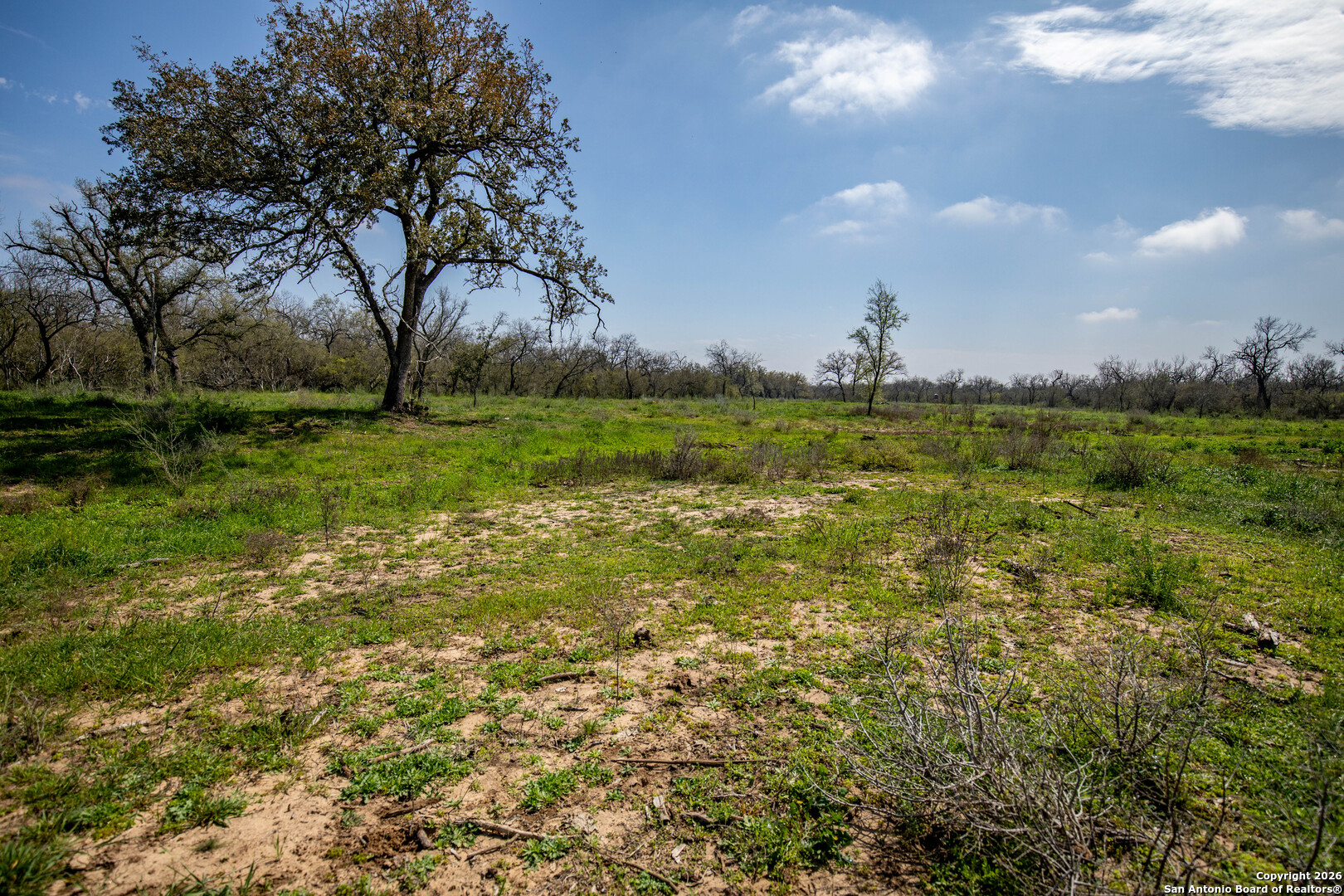 0 Felix Road St. Hedwig, TX 78152 - Photo 37 of 41 a view of a green field
