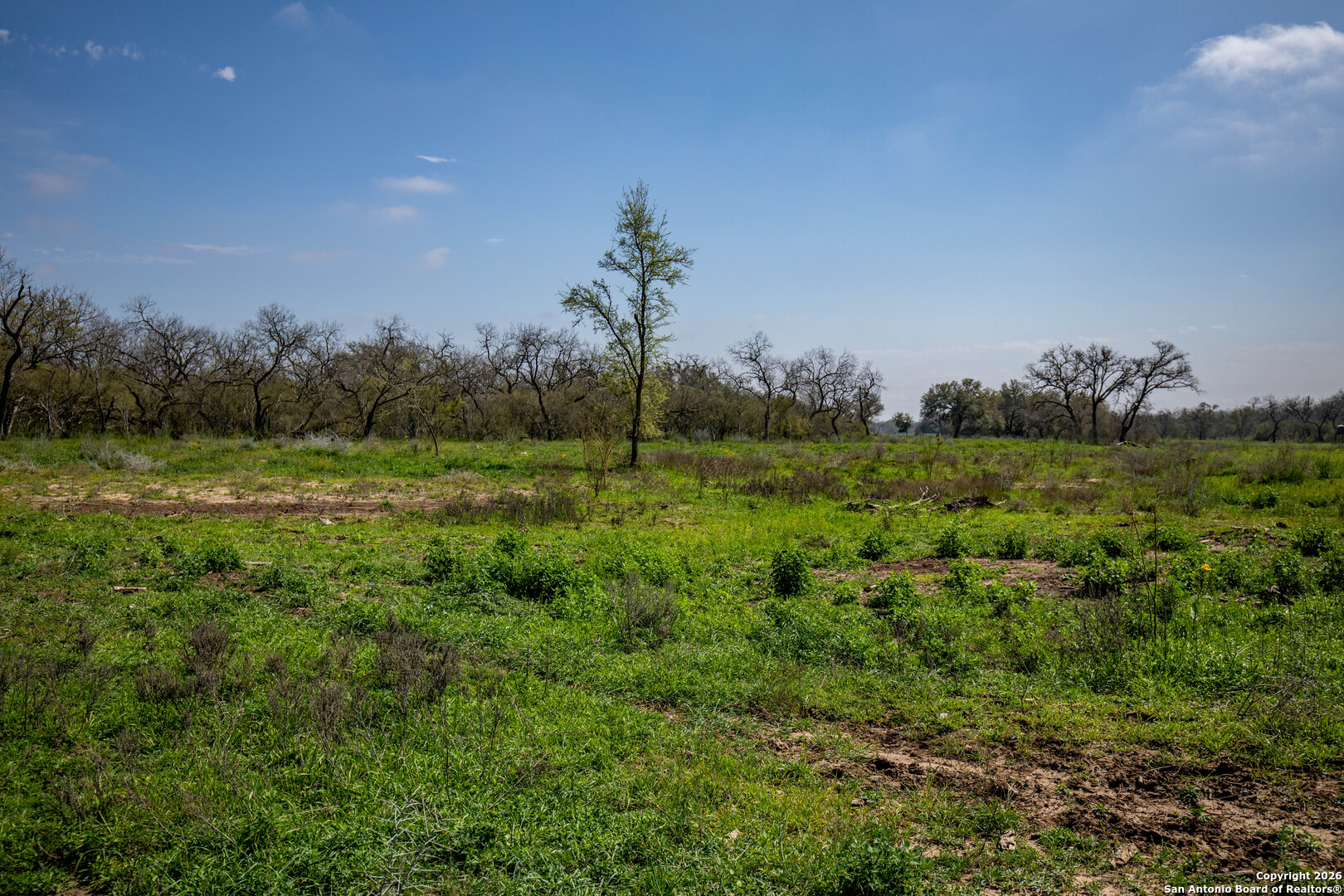0 Felix Road St. Hedwig, TX 78152 - Photo 38 of 41 a view of a green field with trees in the background